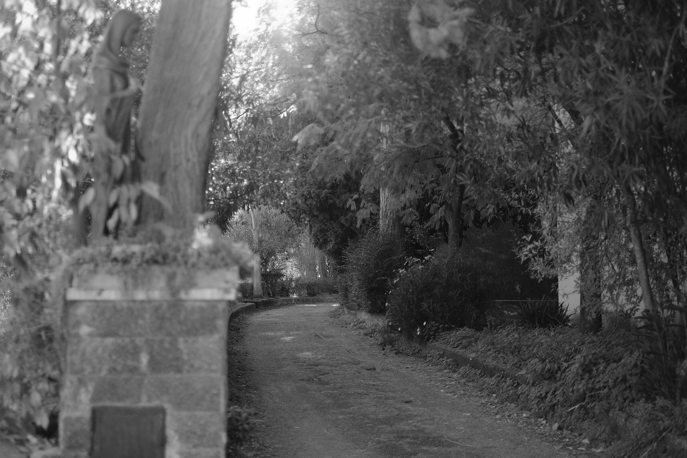 Garden of San Domenico