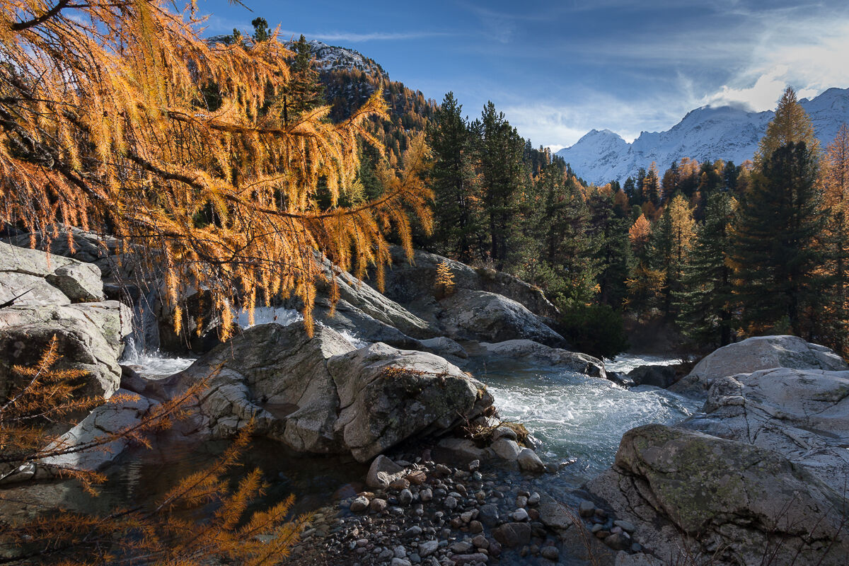 Chiare fresche e dolci acque ....