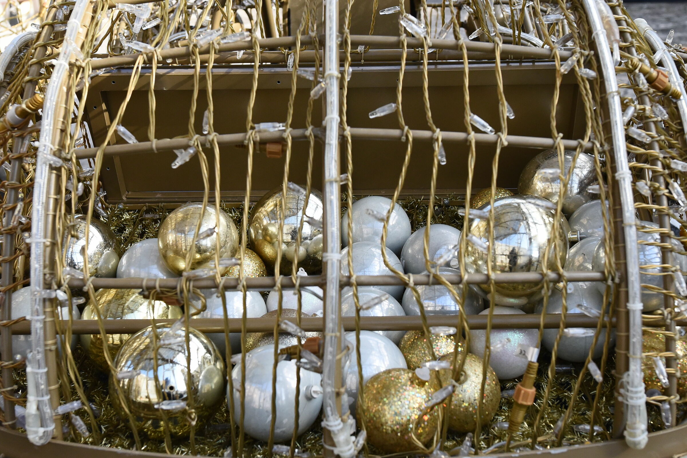 " Special balls " di, Sigma 28, 1.4 Art- Nikon D 7...