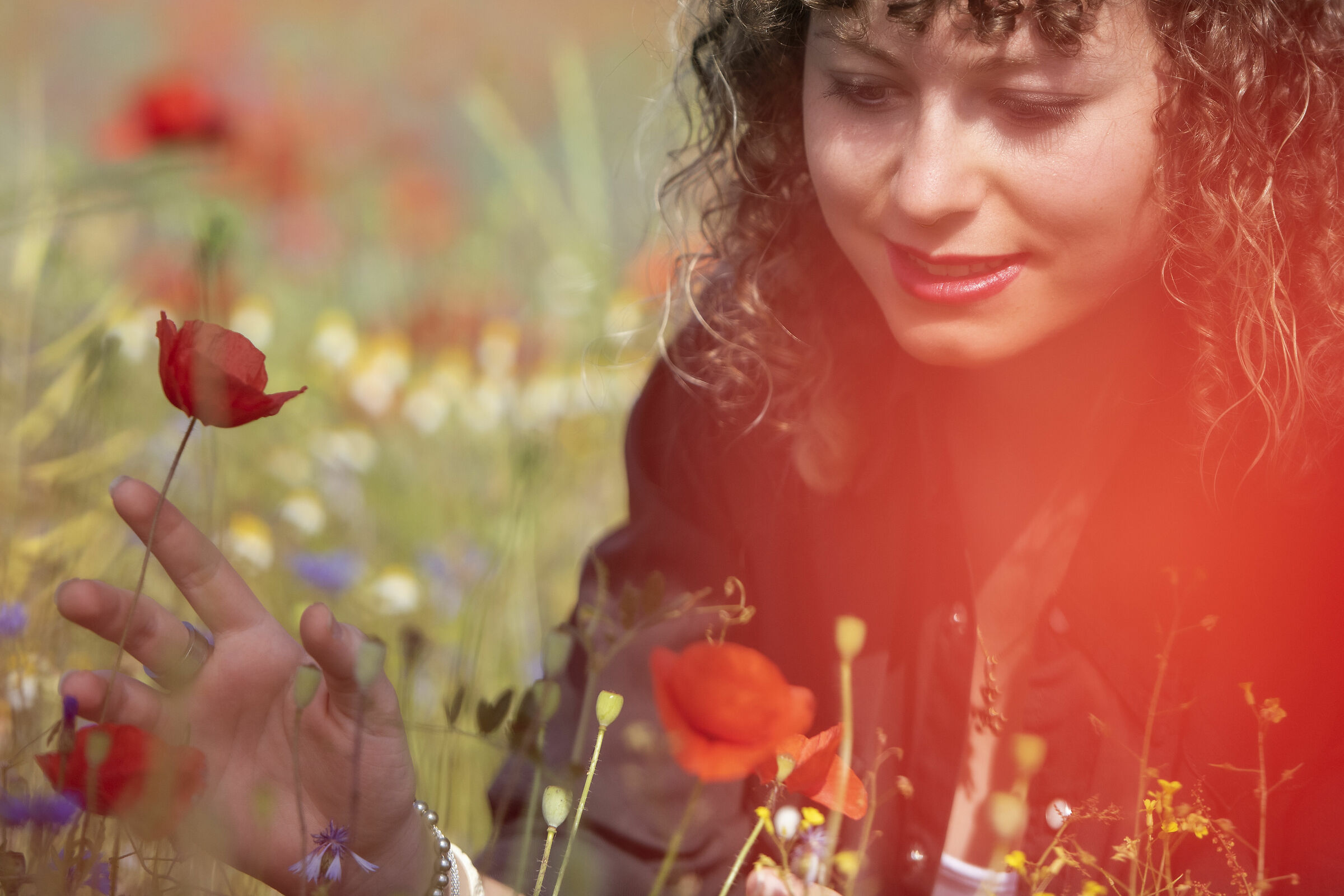 Between poppies and cornflowers!