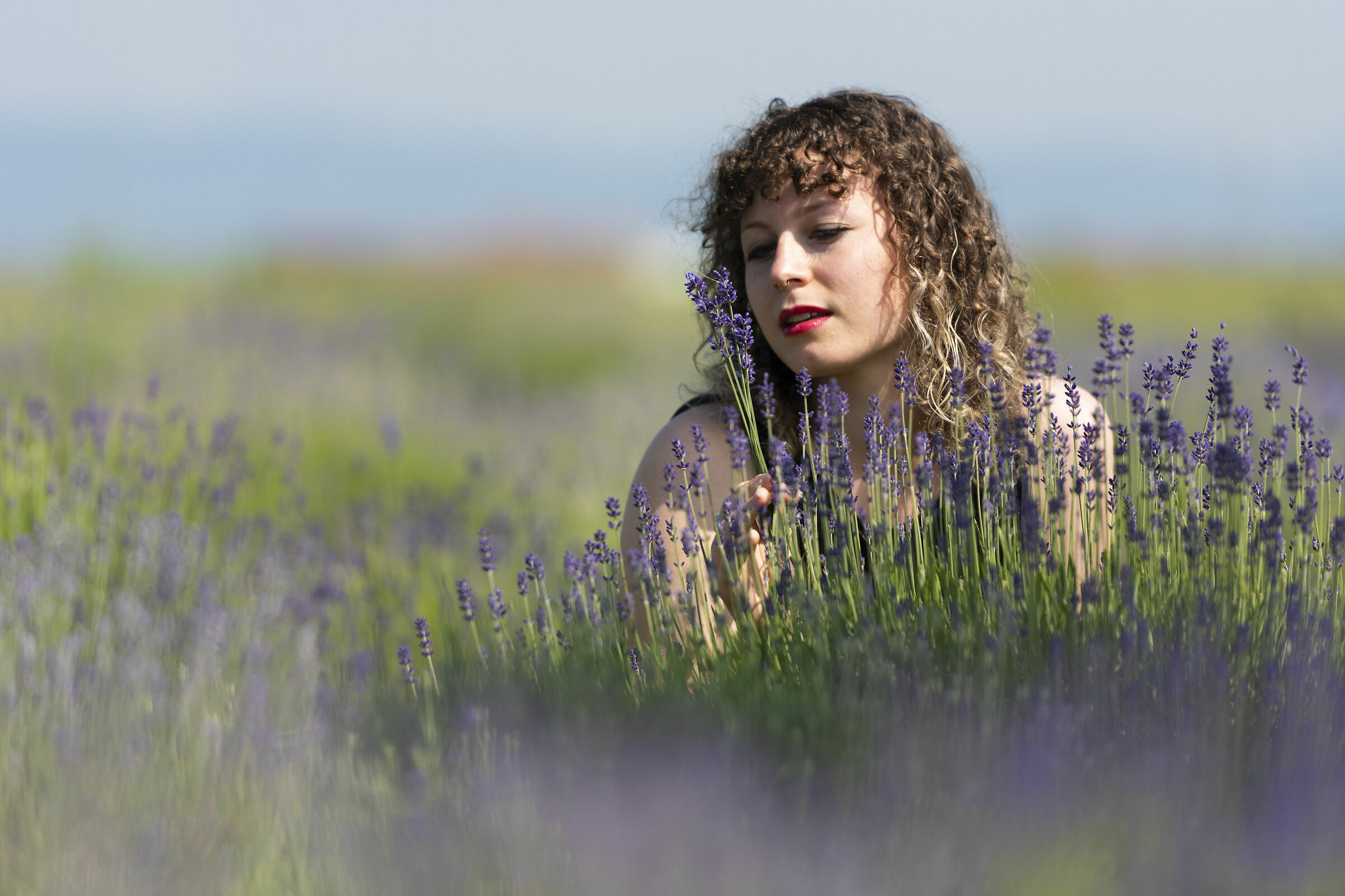 Nella lavanda piemontese