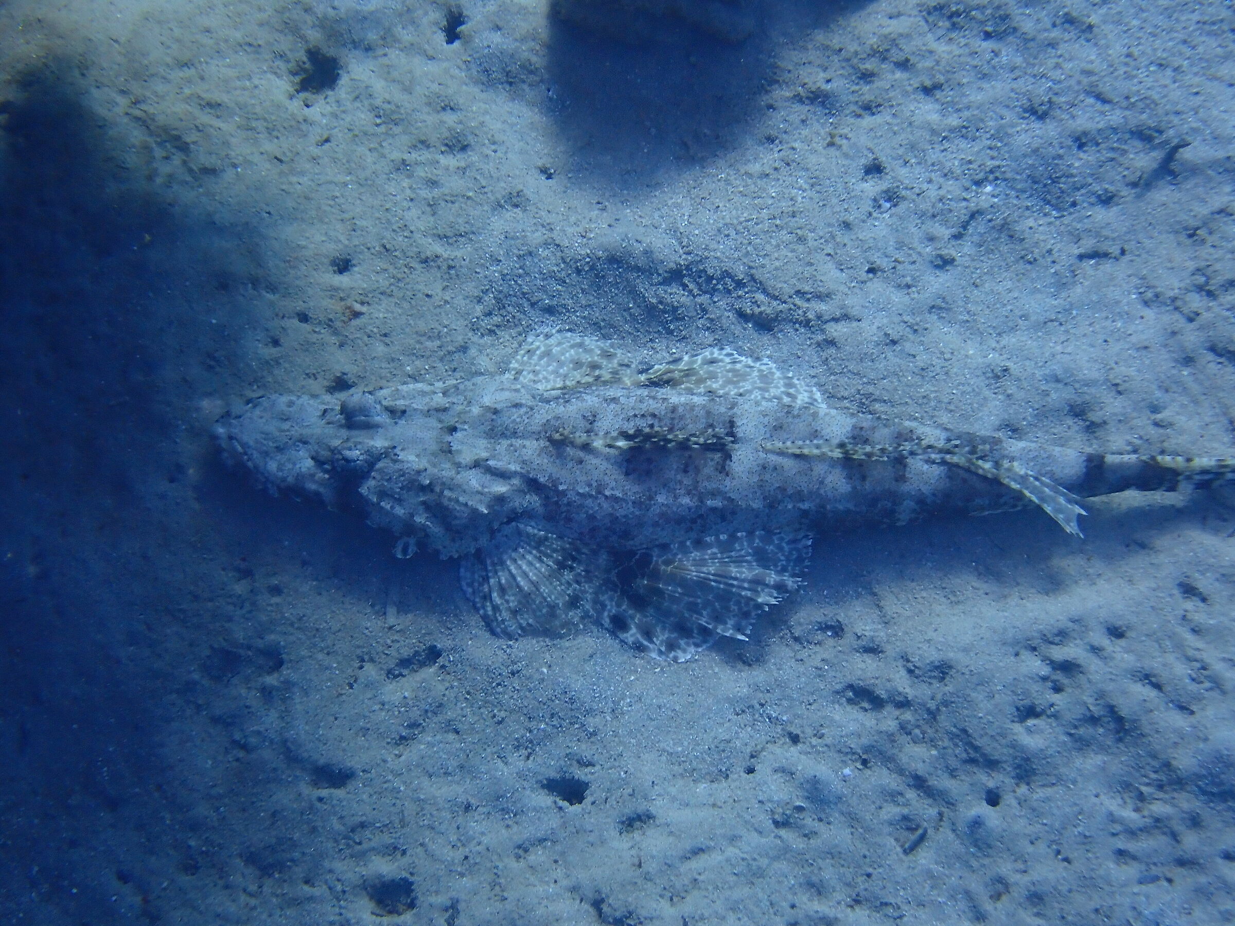 Red Sea - Marsa Alam