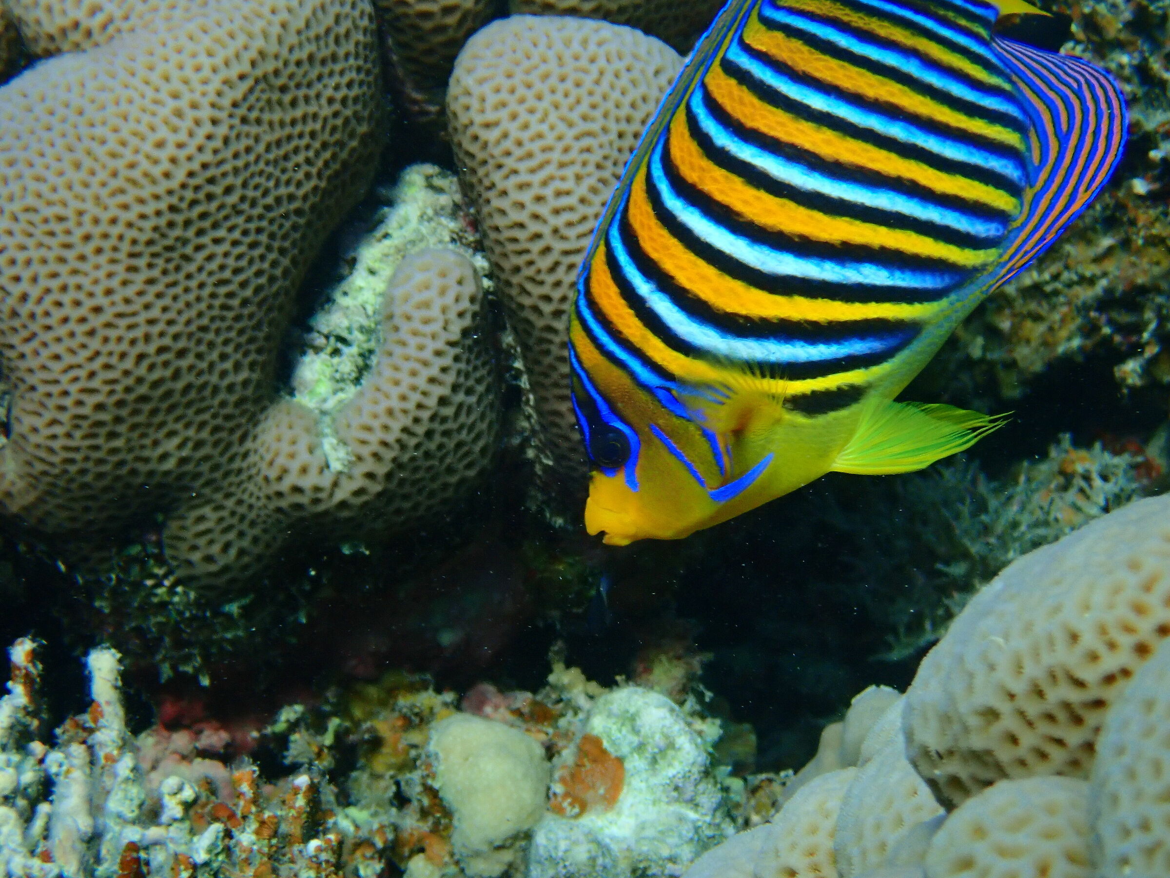 Red Sea - Marsa Alam