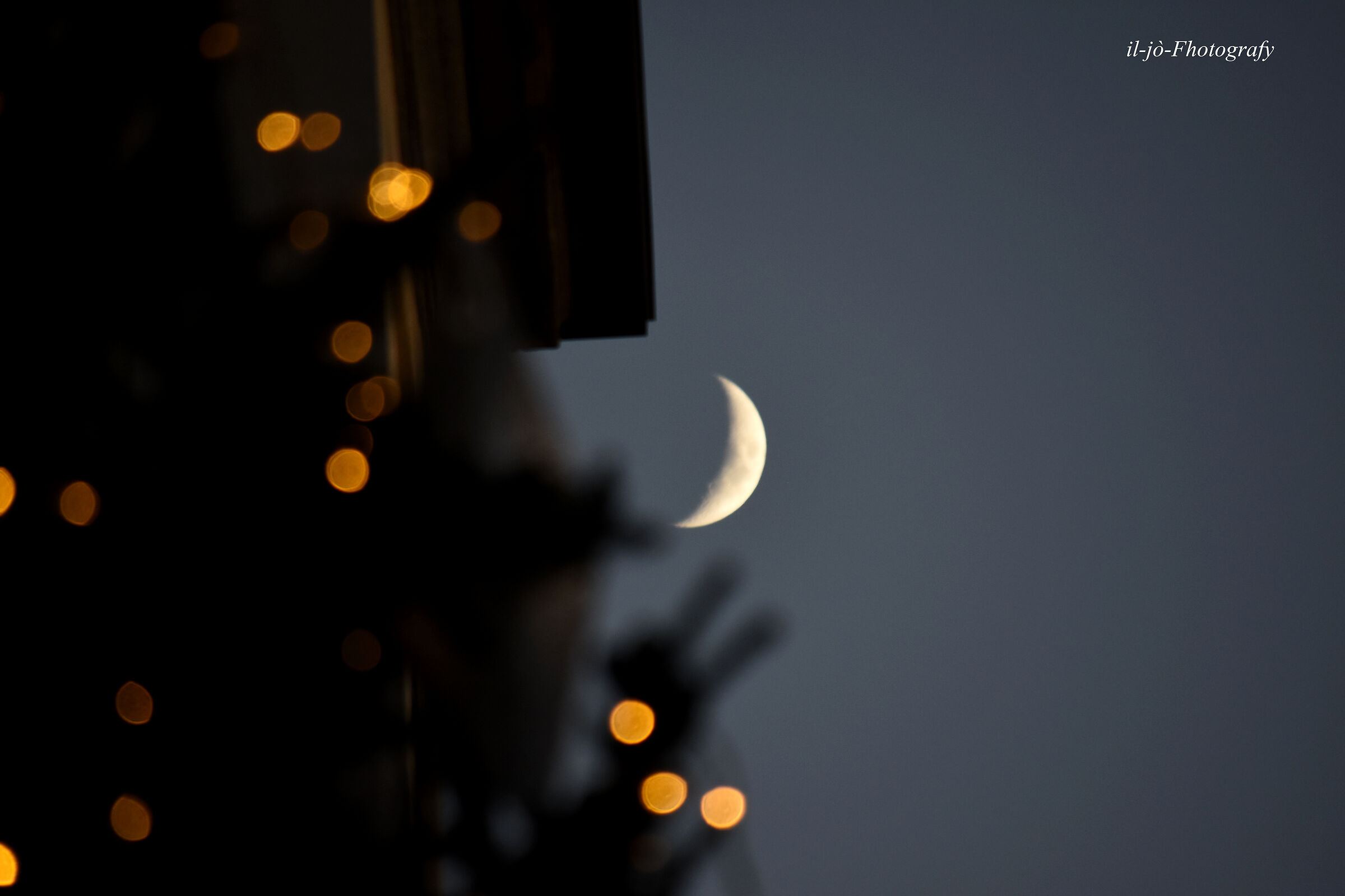 Untitled Photo