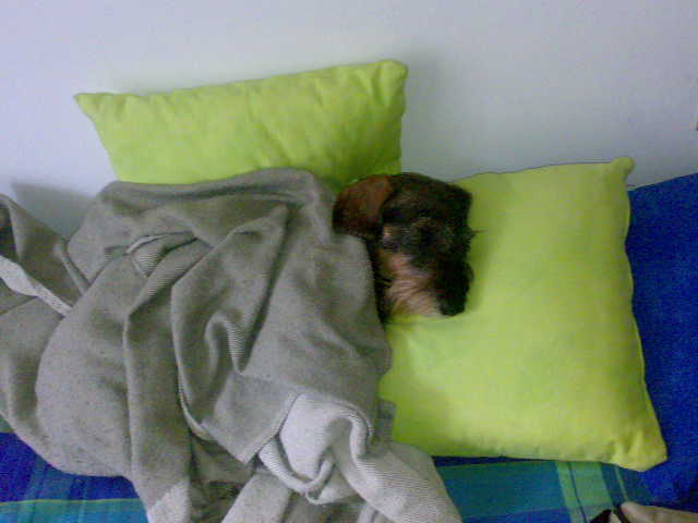 Kromm under the covers