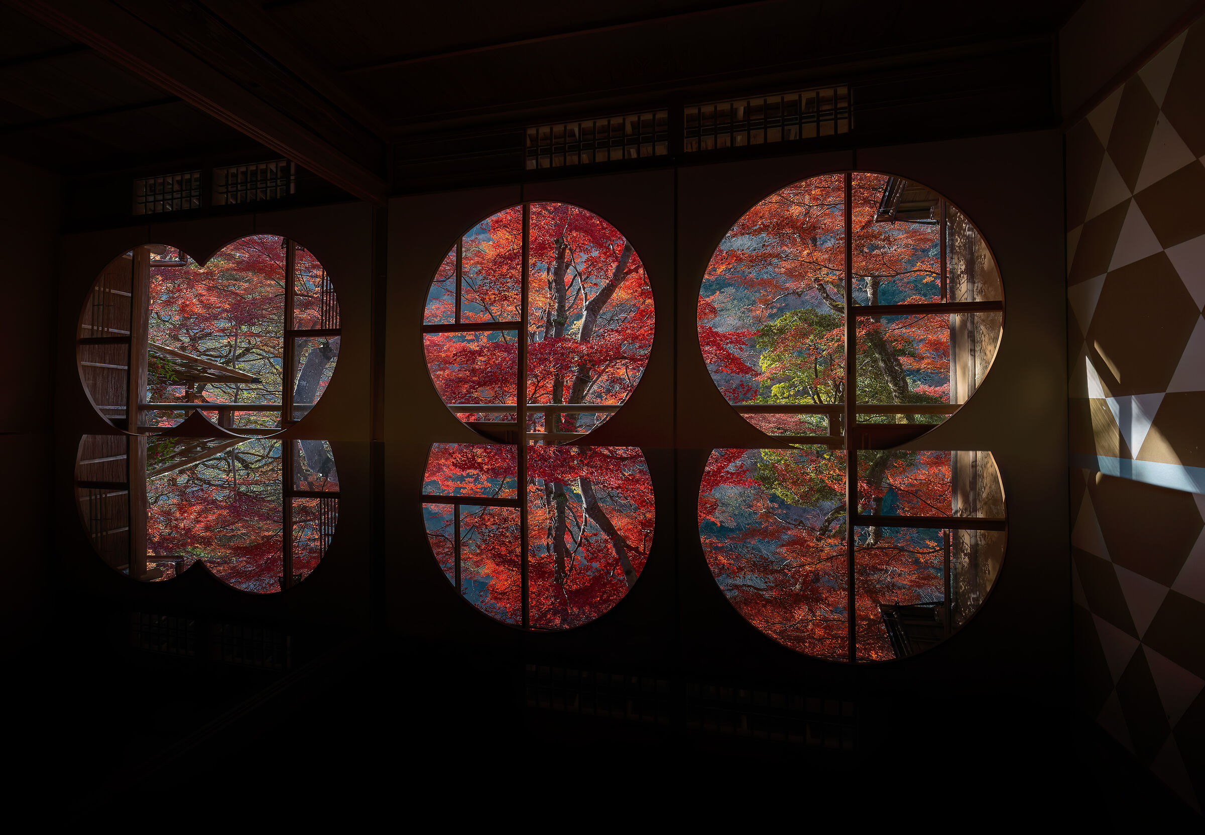 Riflessi giapponesi_2