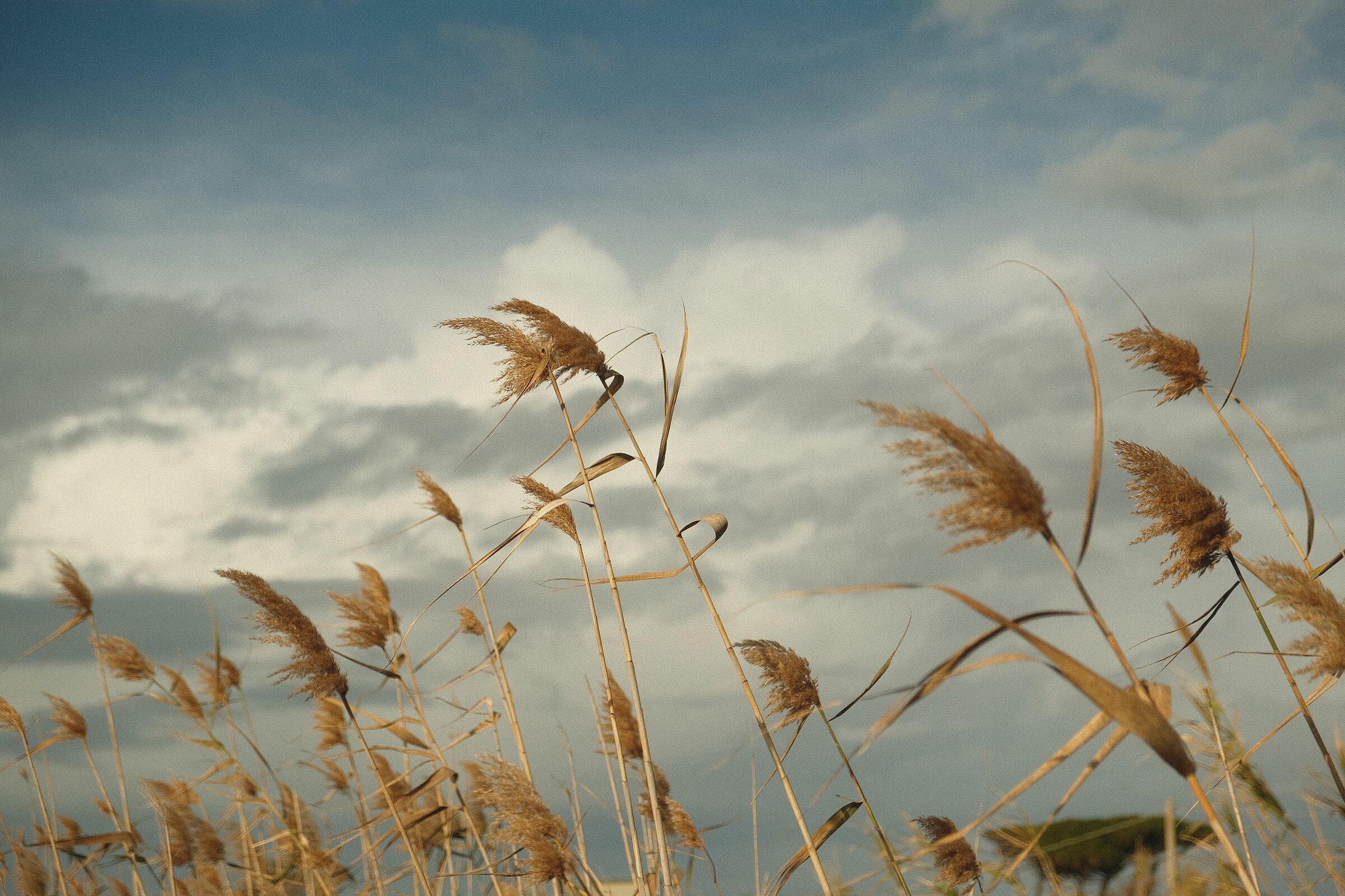 Saline di Tarquinia, vento