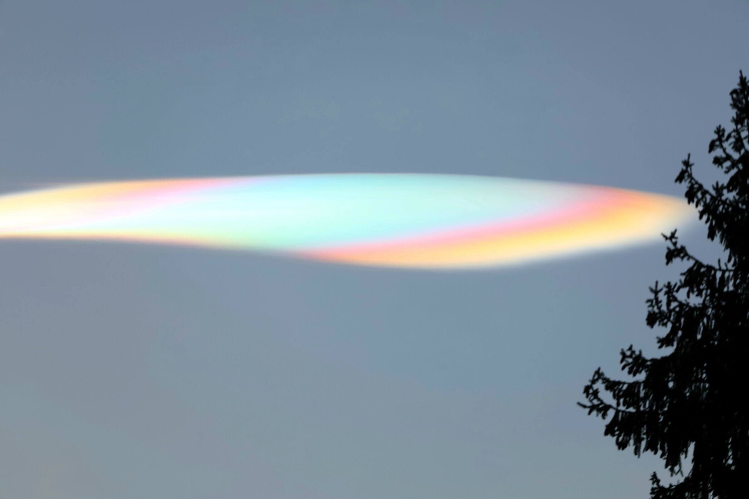 Nube fluorescente 22-12-2023