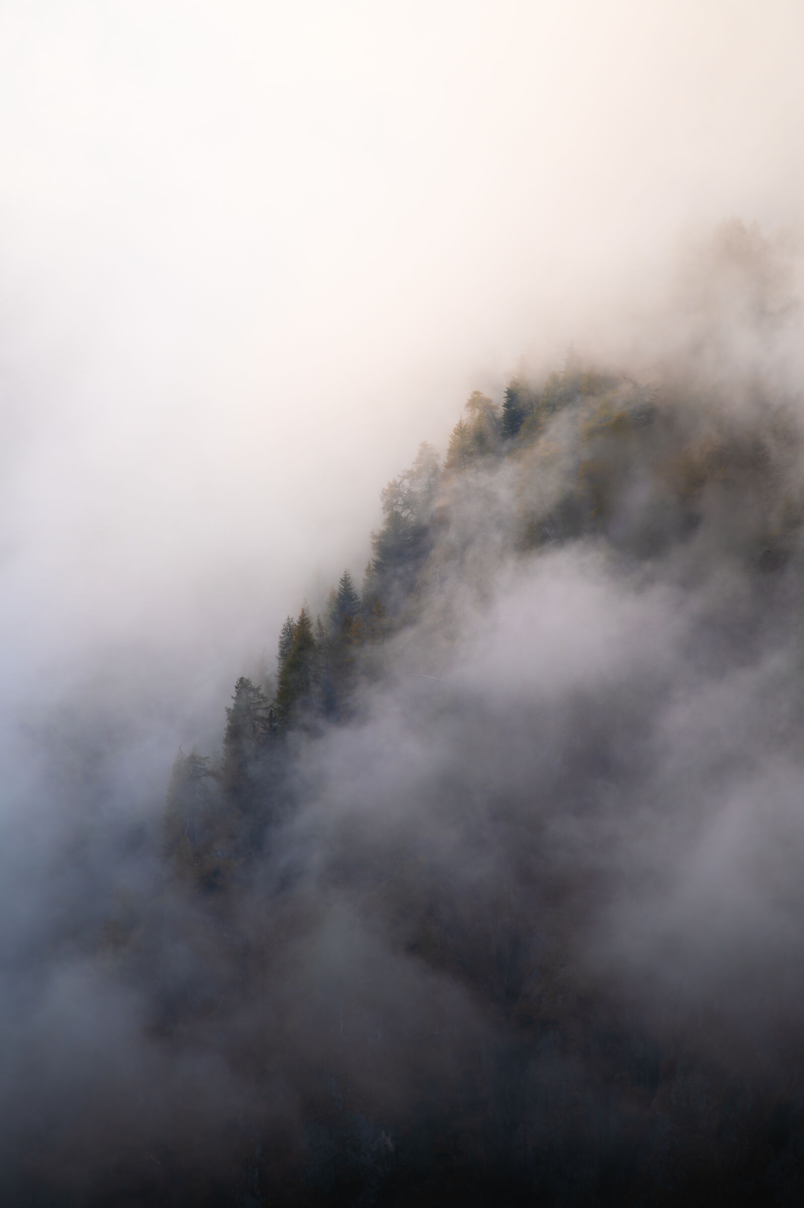 Gloomlights and haze III