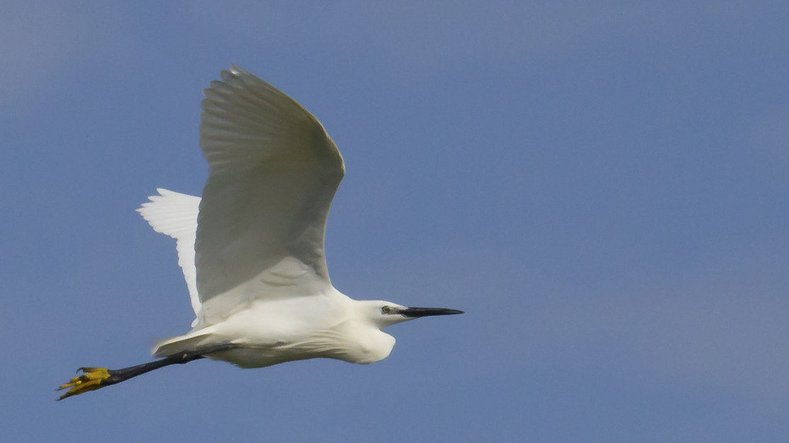 In the blue .... painted blue