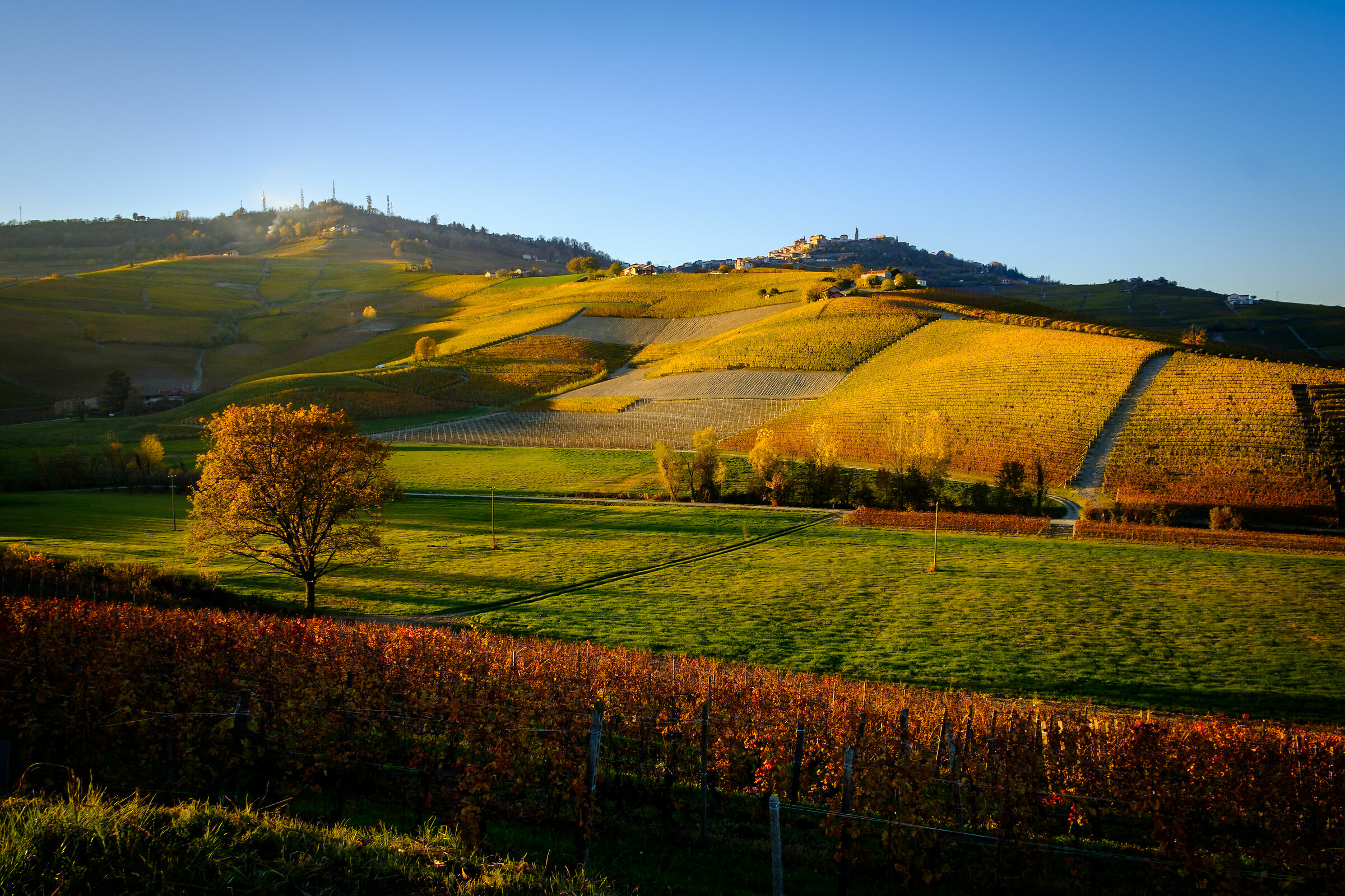 Barolo in autumn