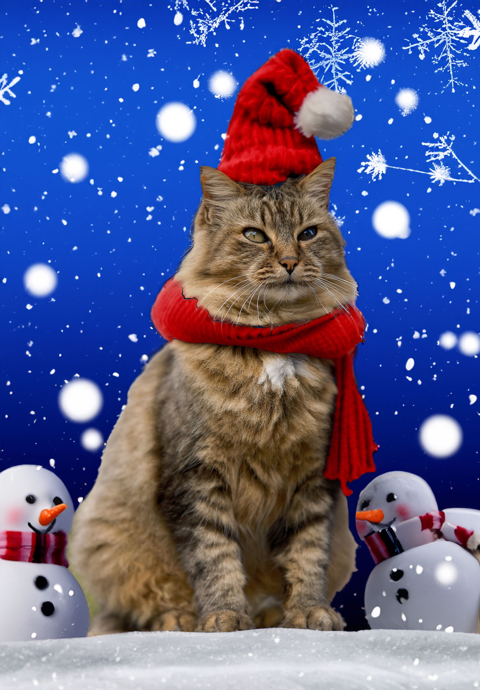 Season's greetings to all from Leonetto and me :)