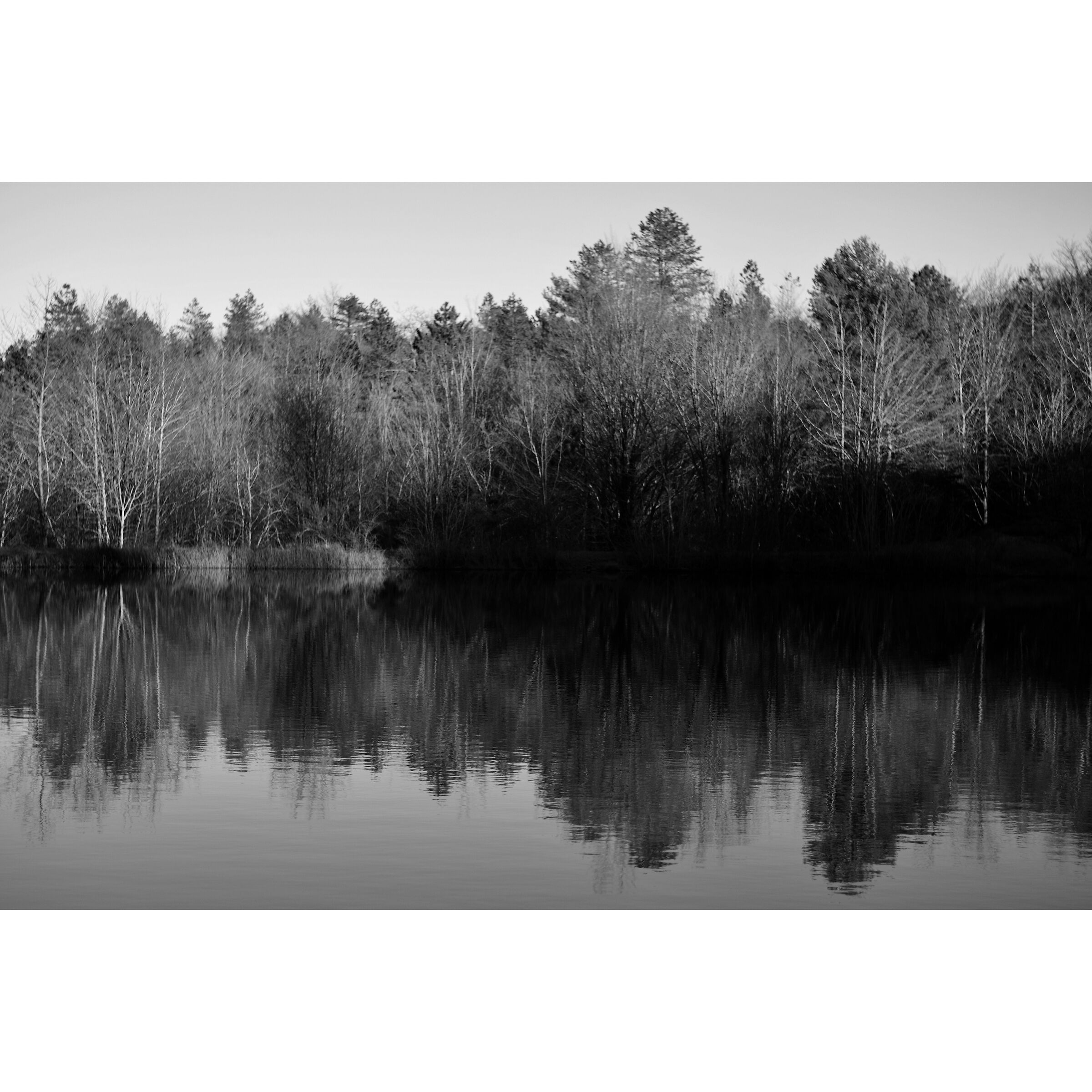 Untitled Photo