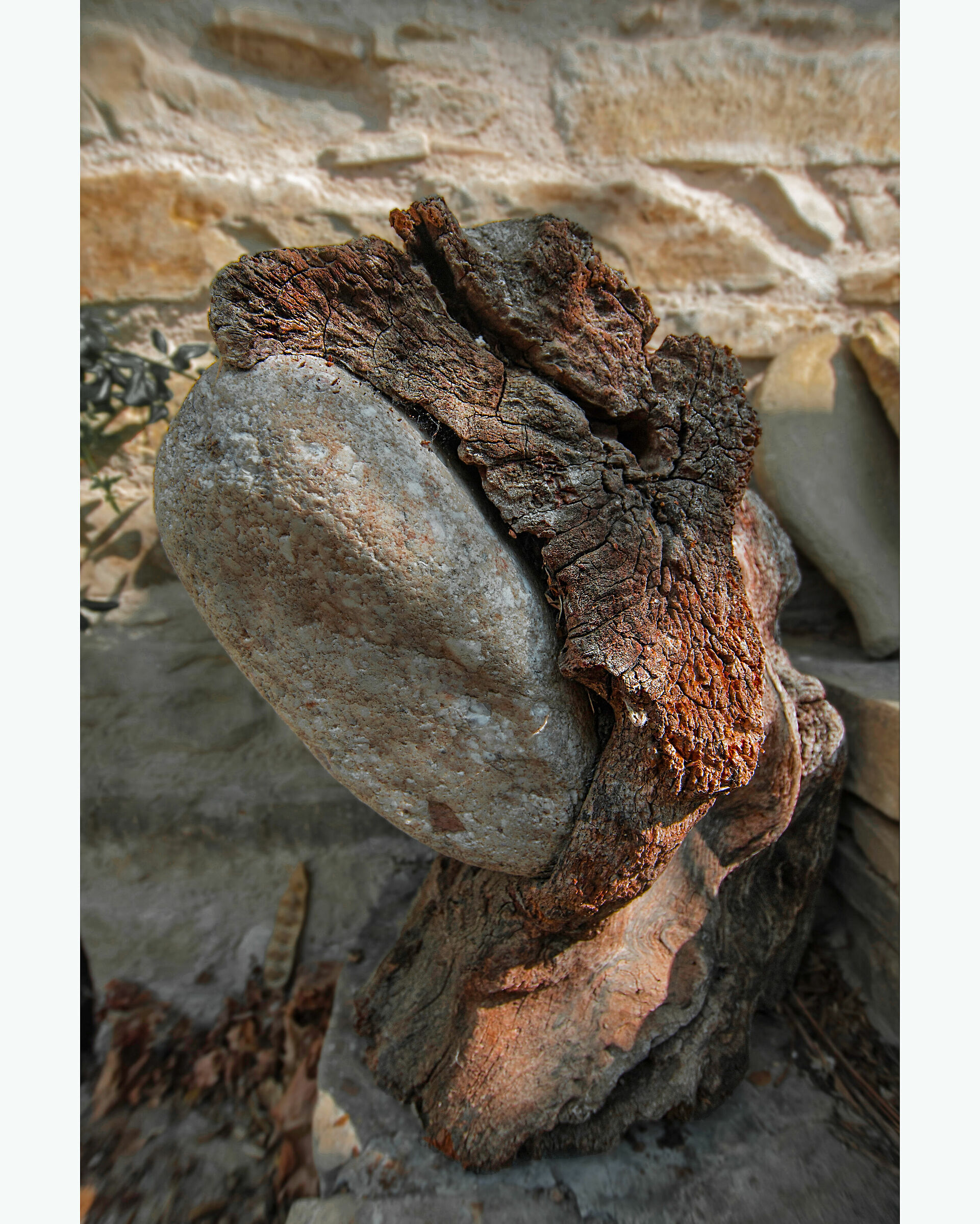 Déjà vu - De Chirico _ il tronco che inghiotte...