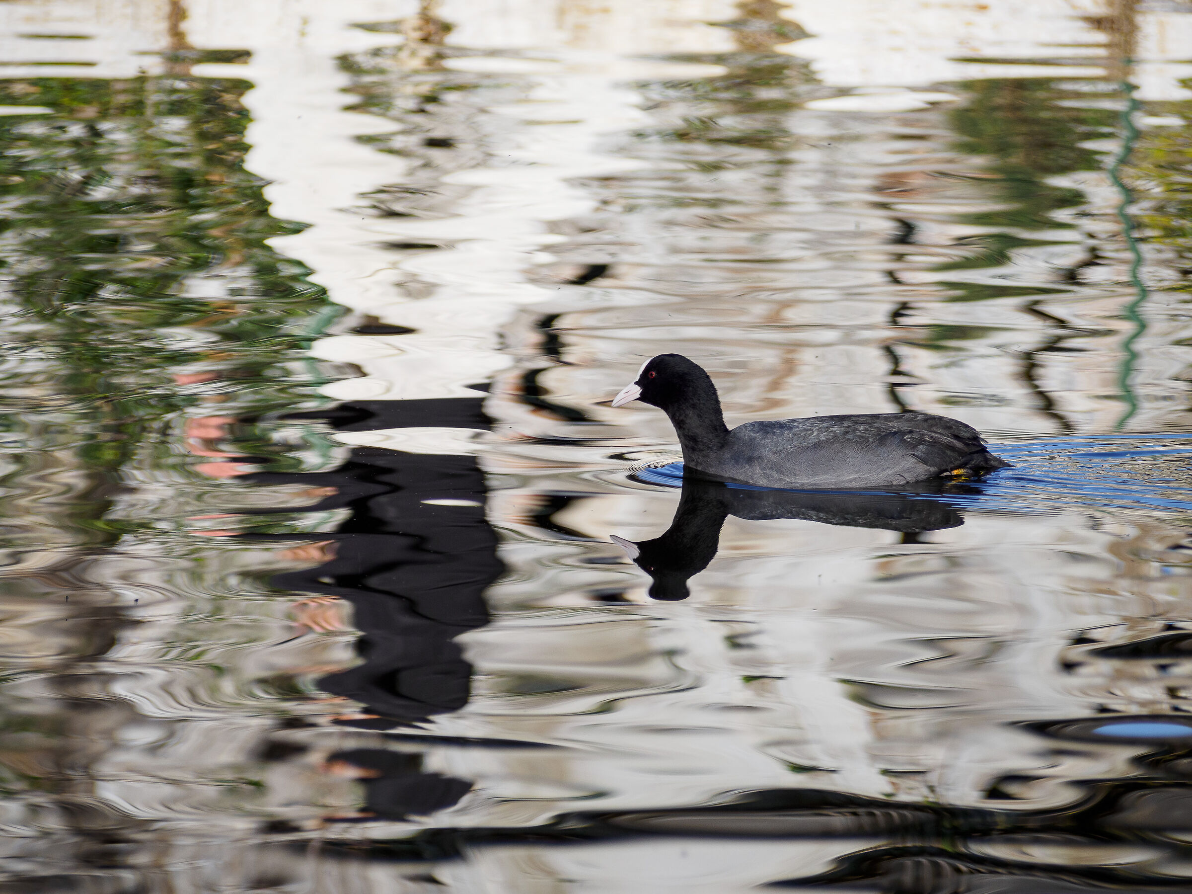 Street alternativa..