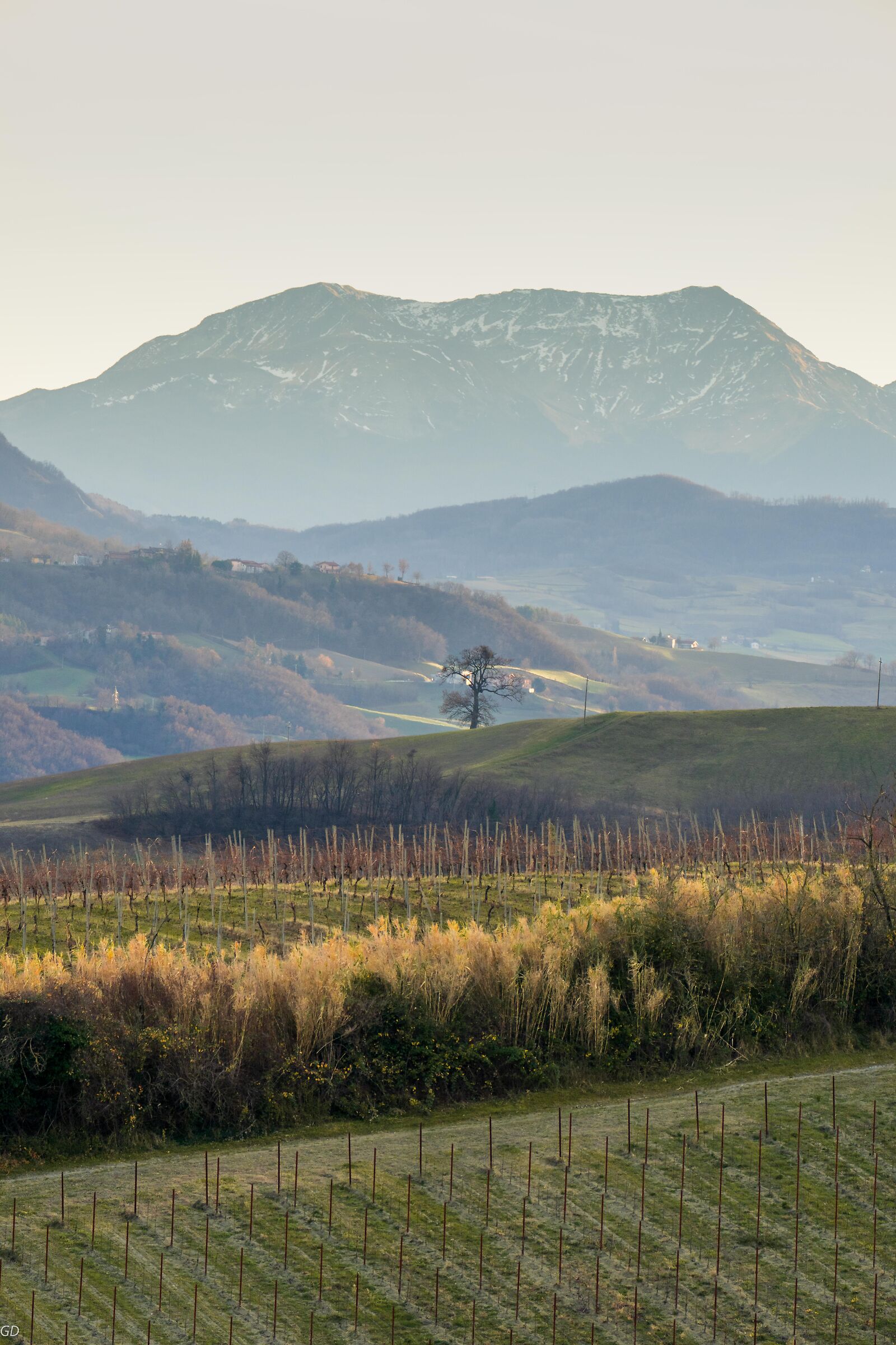 Colline al tramonto