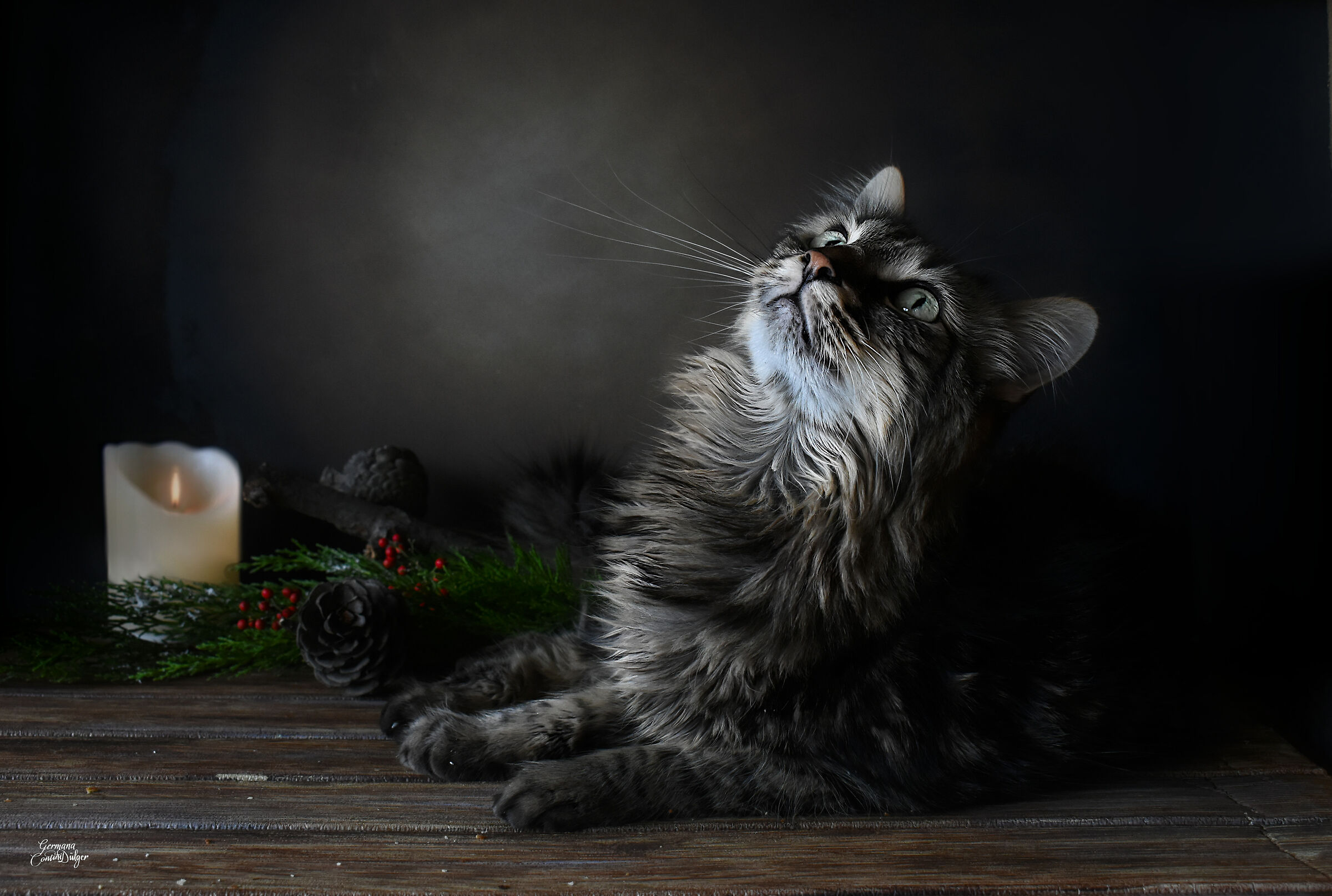 Leo on the set of panettone