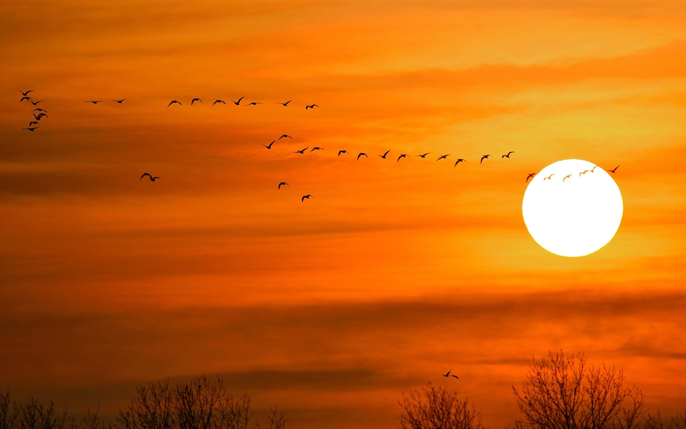 Sunset in the lagoon...
