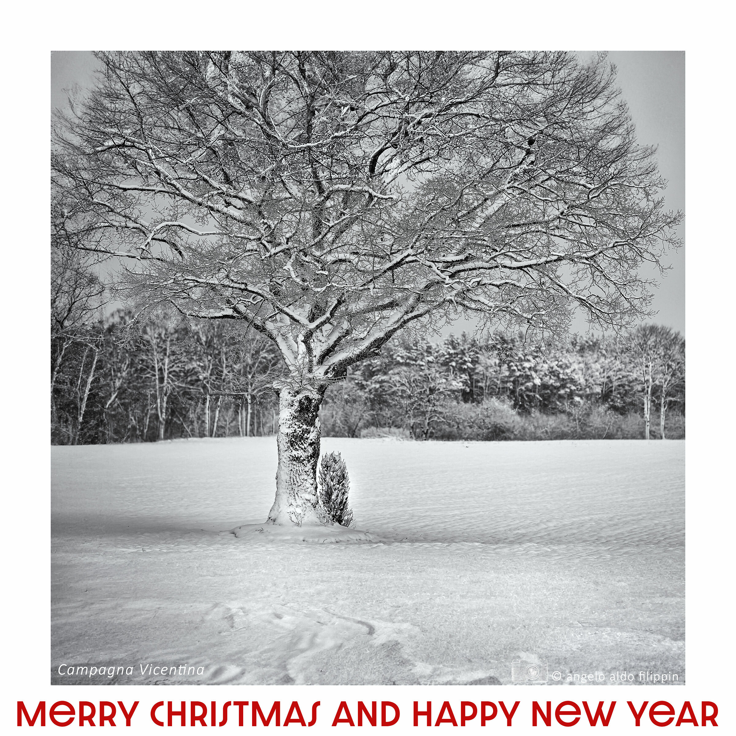 Happy Christmas and Happy New Year