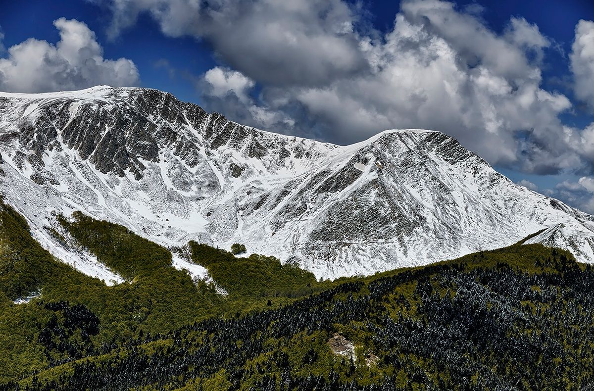 Contrasti di stagione.