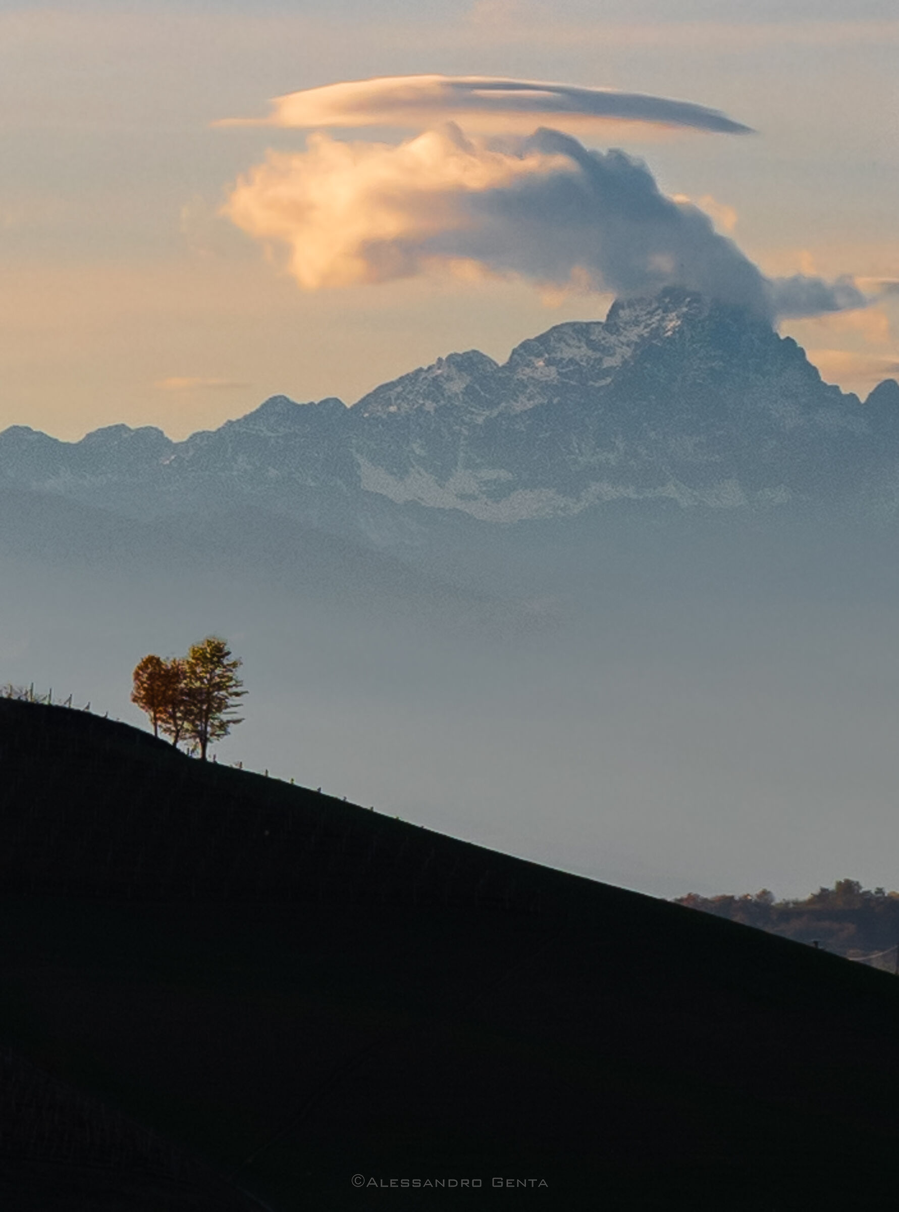 giovani alberi con il gigante di pietra