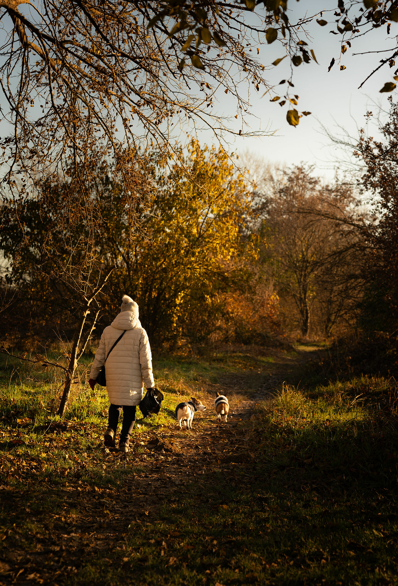 Continuiamo a camminare, eh?