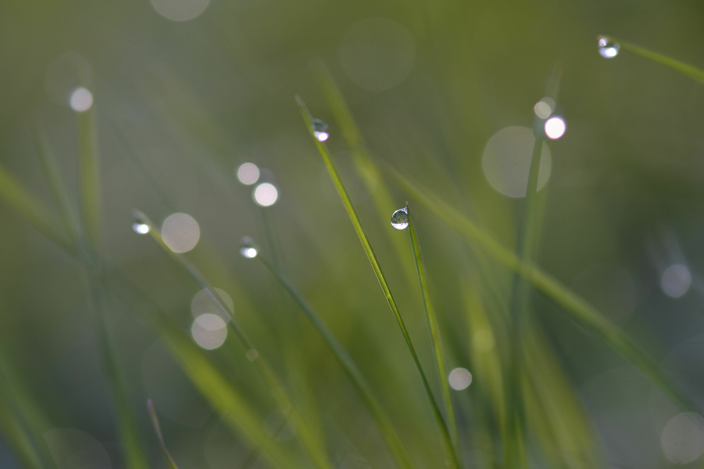 Prime ore di un mattino invernale