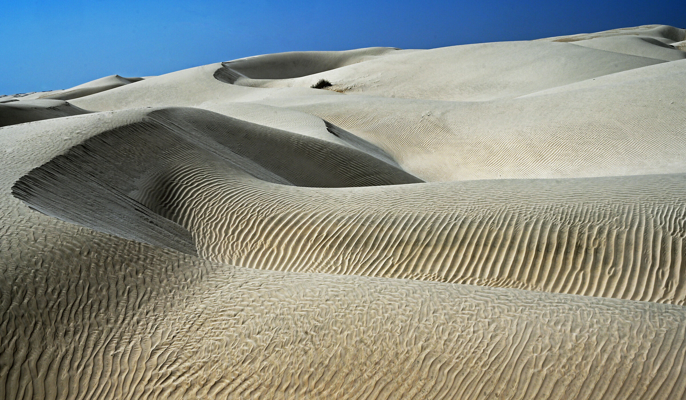 sugar dune desert Oman