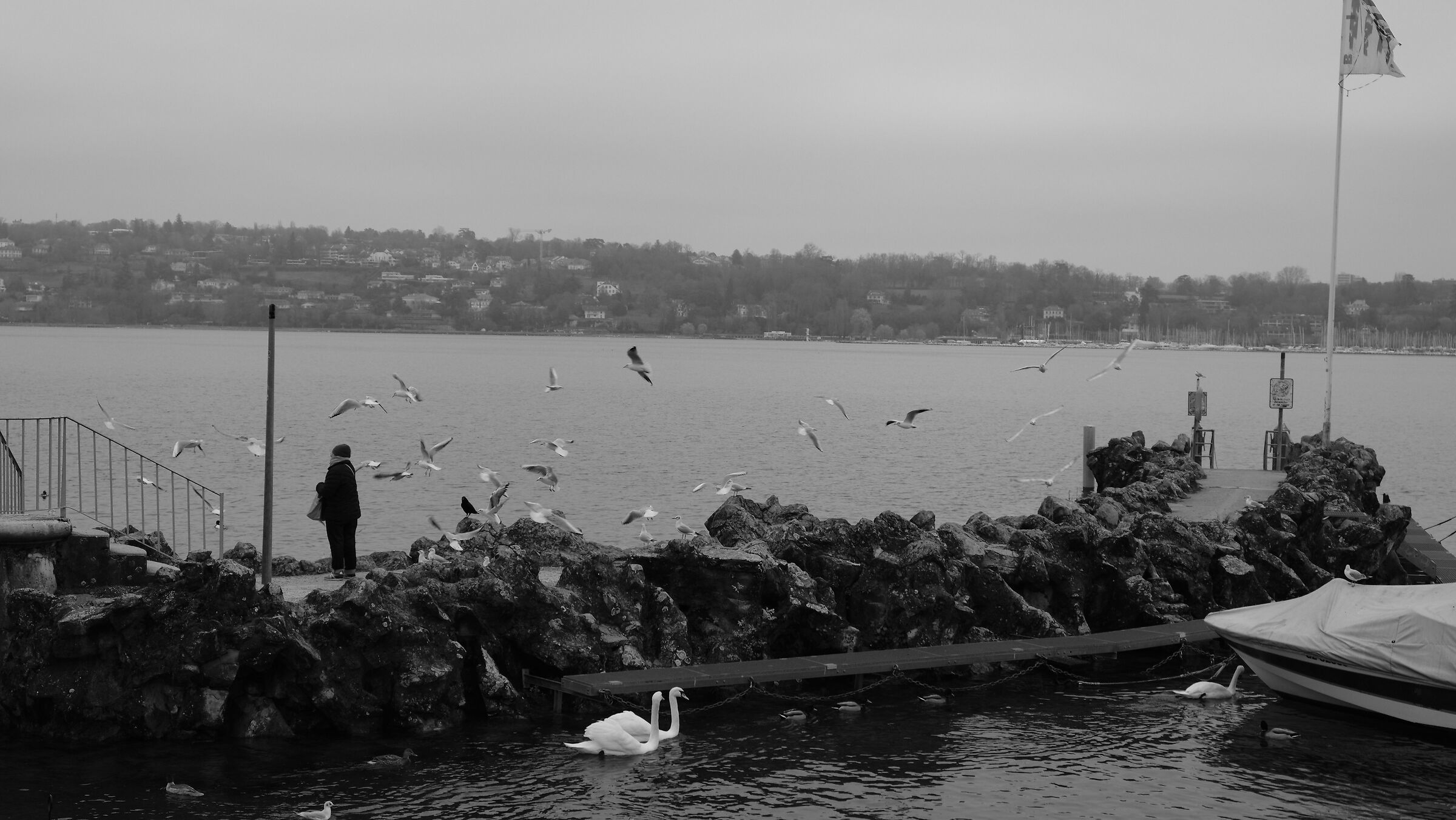 Lady on the Lake