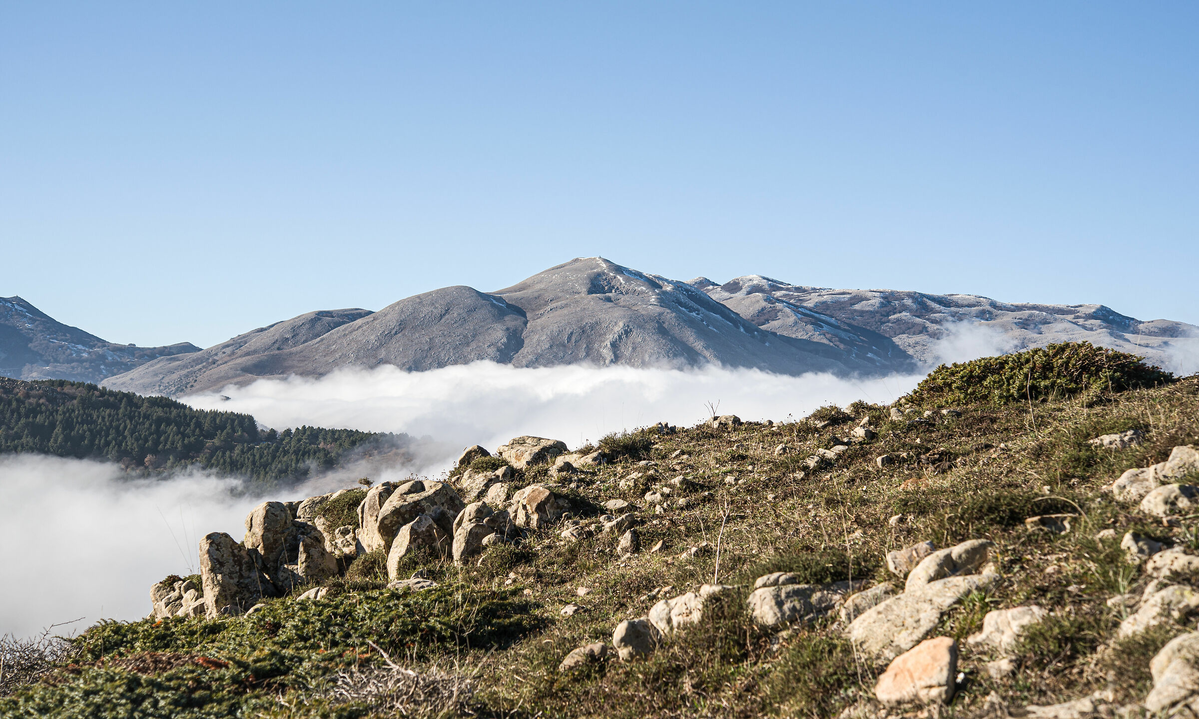 High-altitude Christmas maretta.