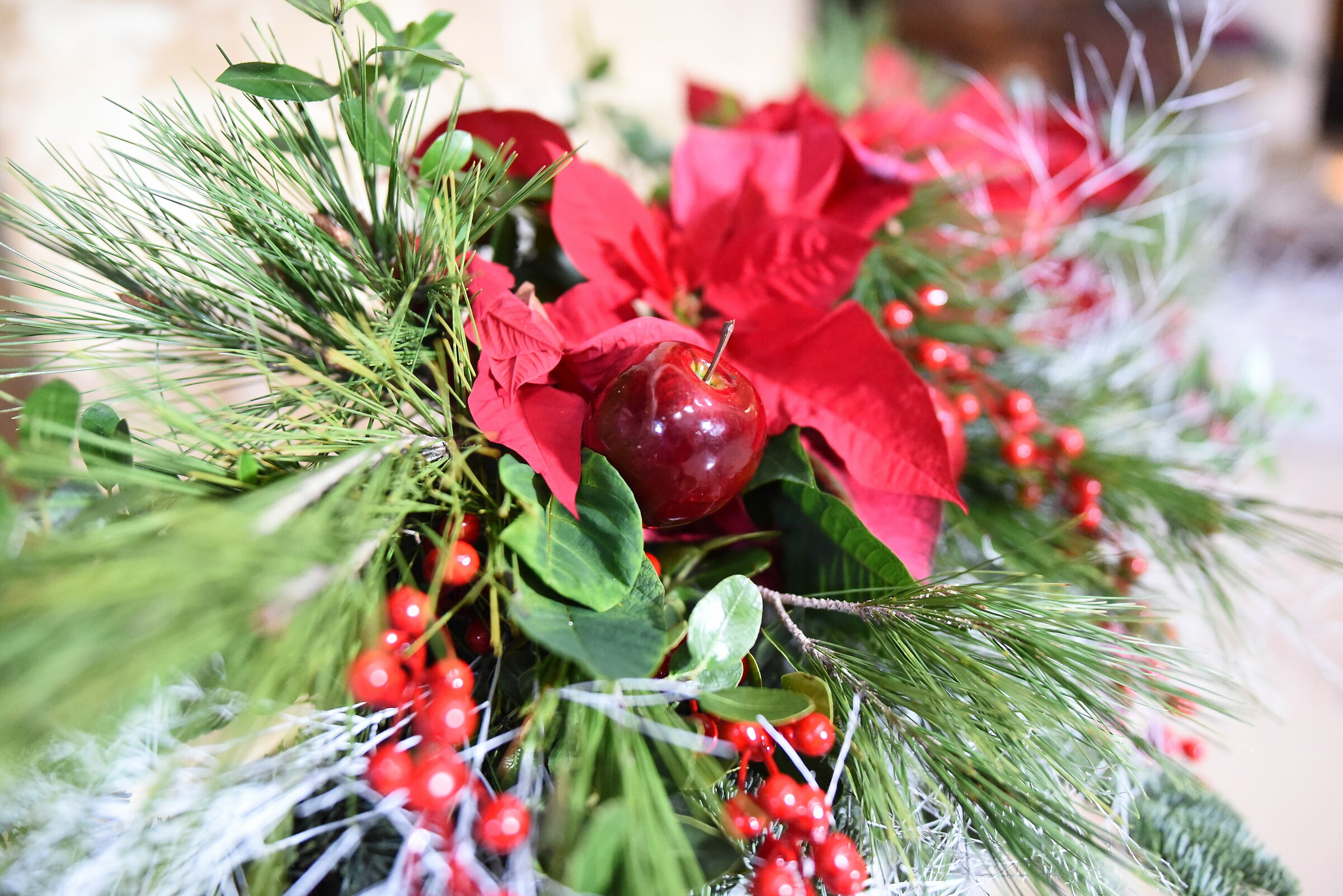 @ F. 1.7 " ISO 8 Mila ", Sigma 28, 1.4 Art- Nikon ...