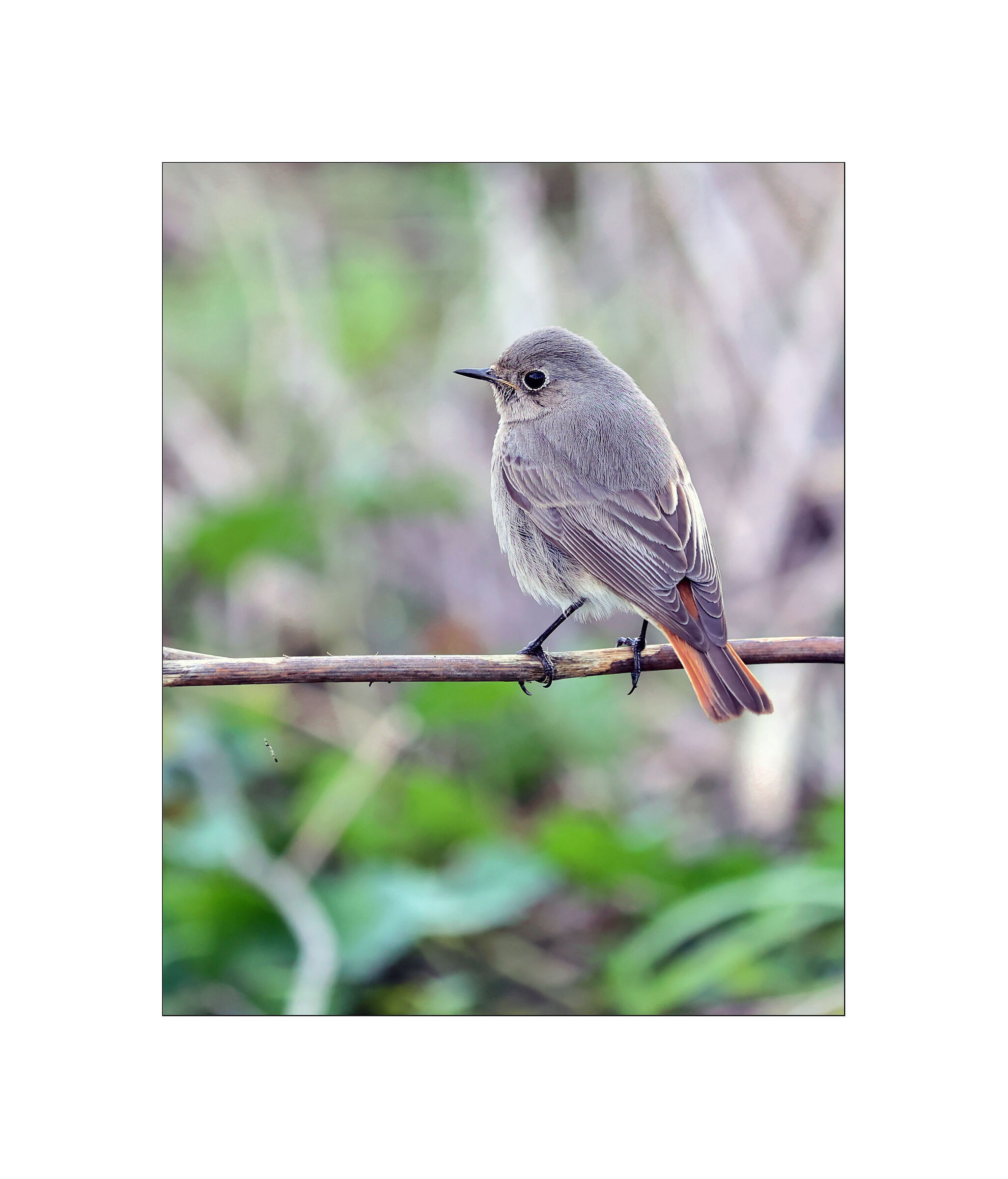 Mo basta... questa è l'ultima foto che mi fai.