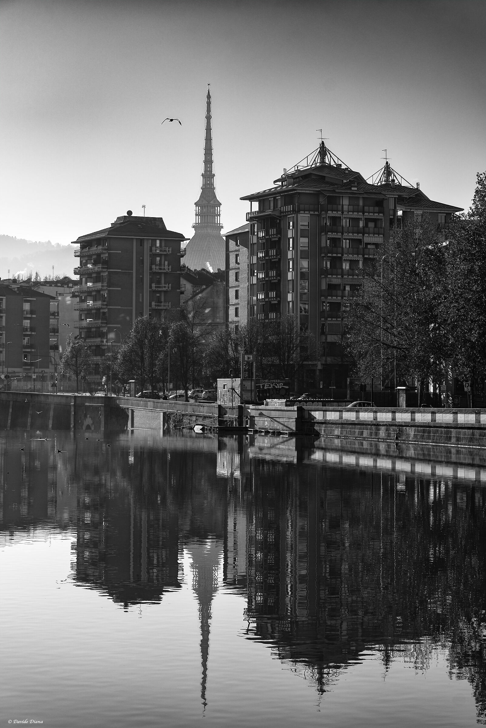 Riflessi metropolitani - Torino
