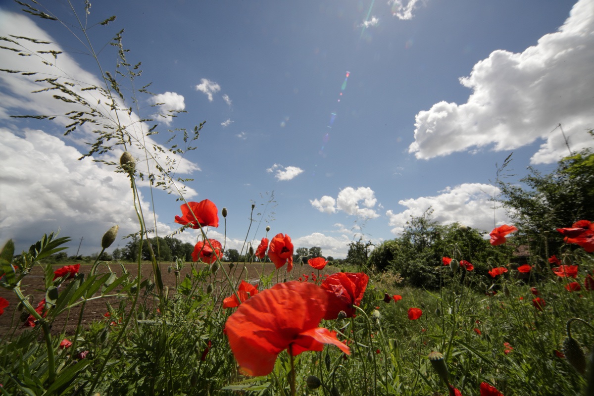 Unstable convergences