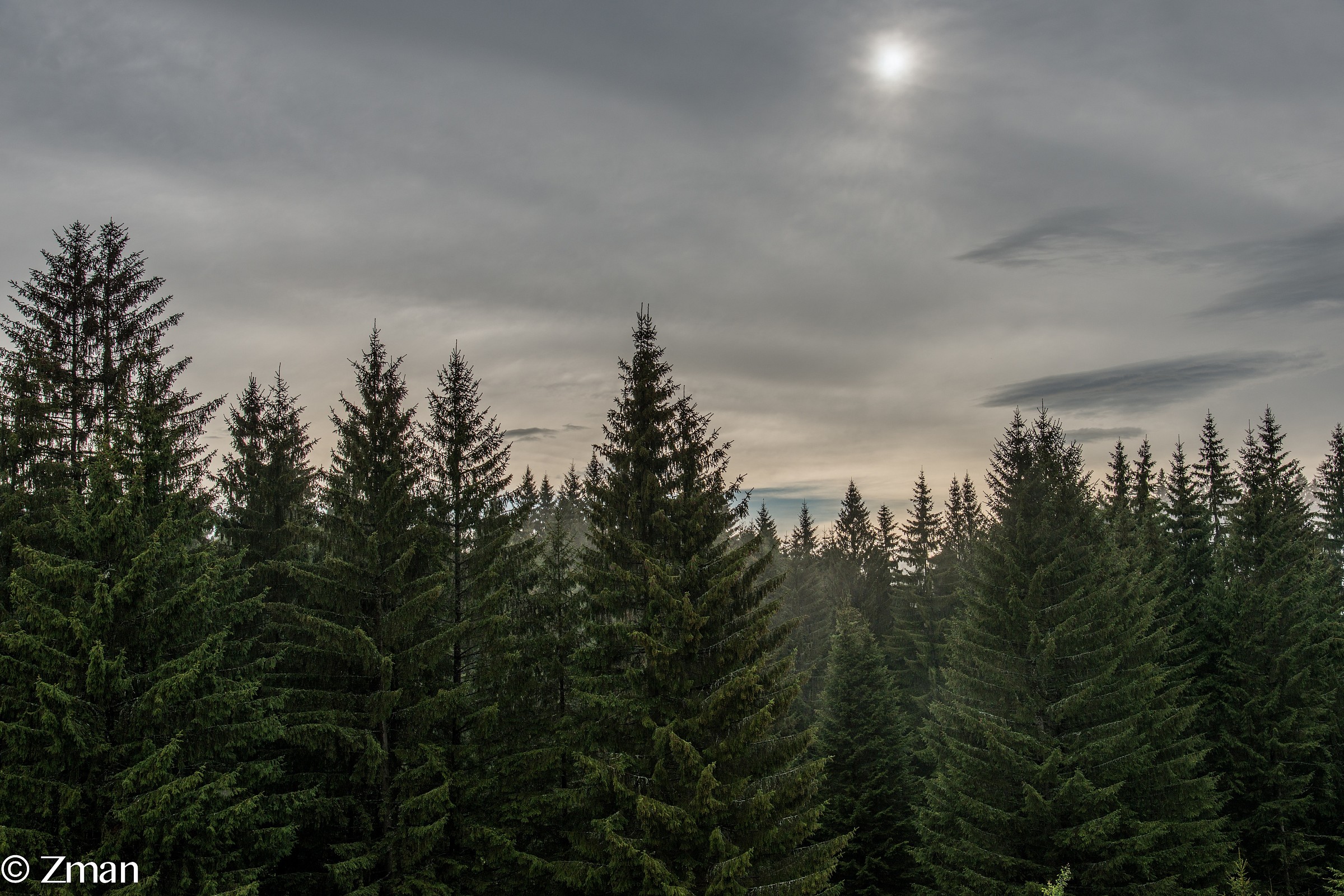 Clearer Skies After Heavy Rain