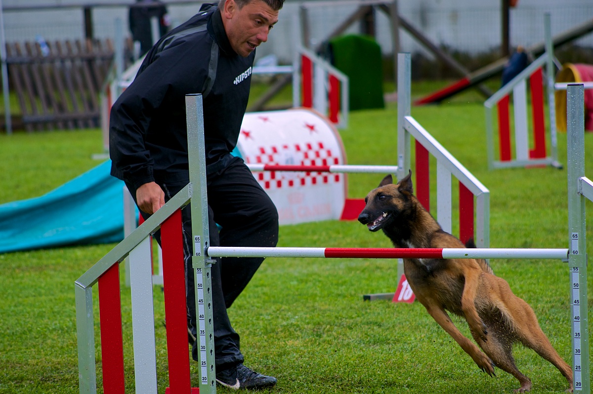 Von David & Gape Rila Planina