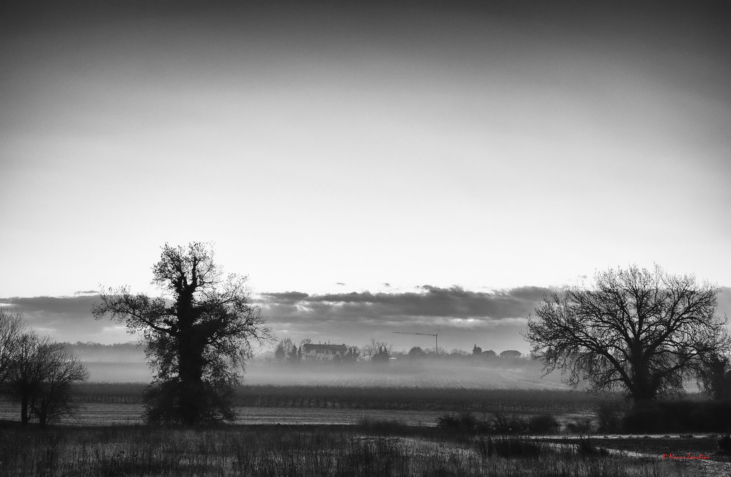 Untitled Photo