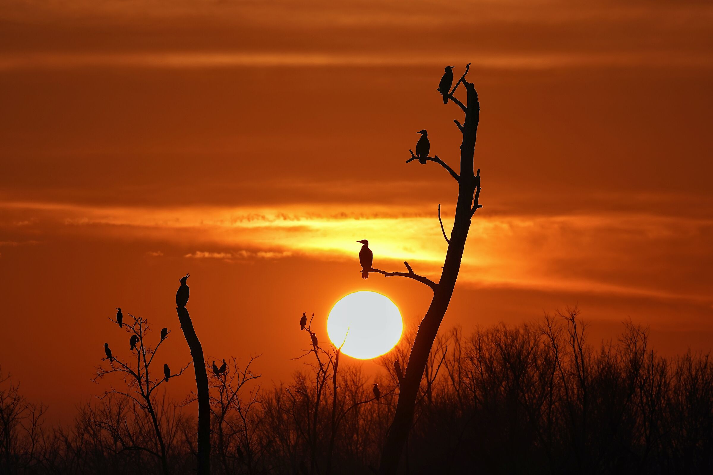 At sunset.