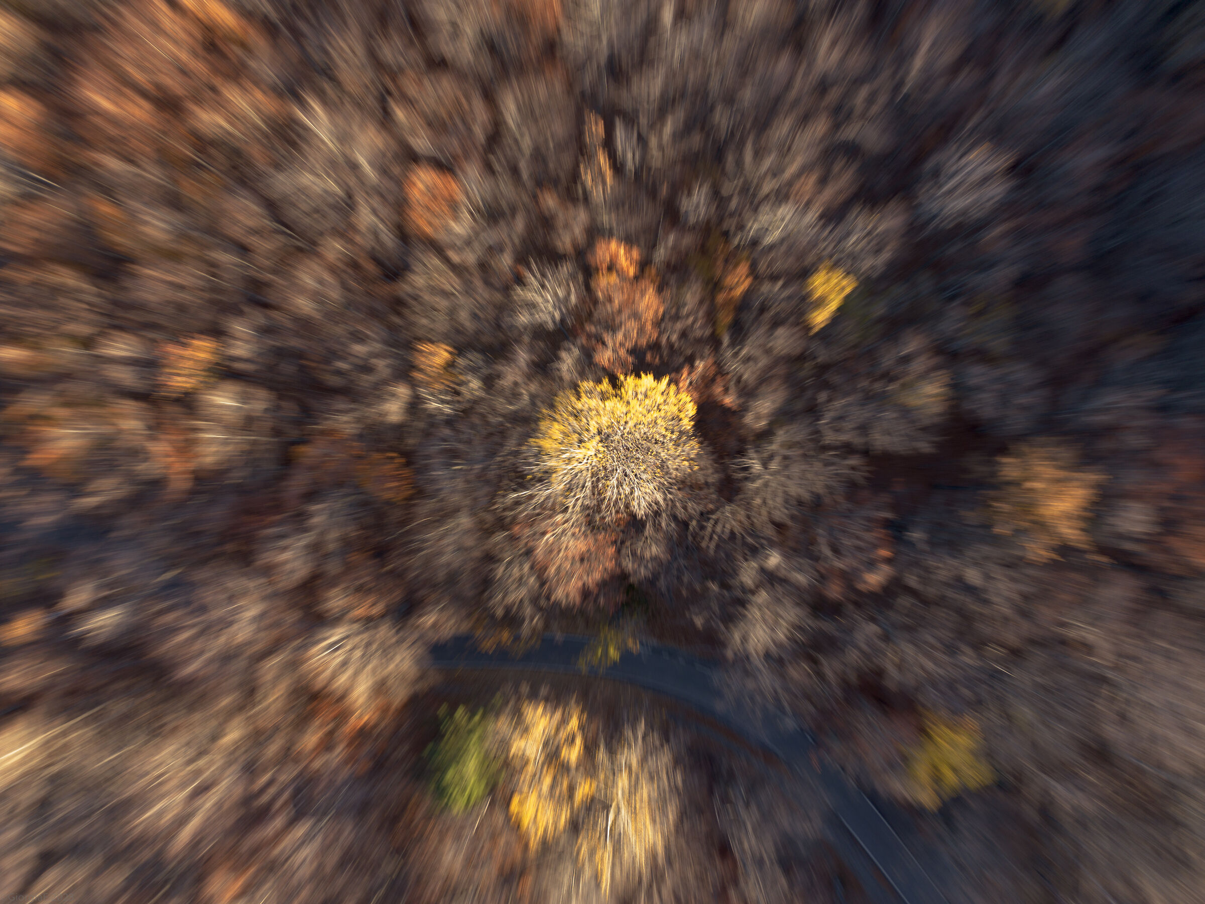 ZOOM!