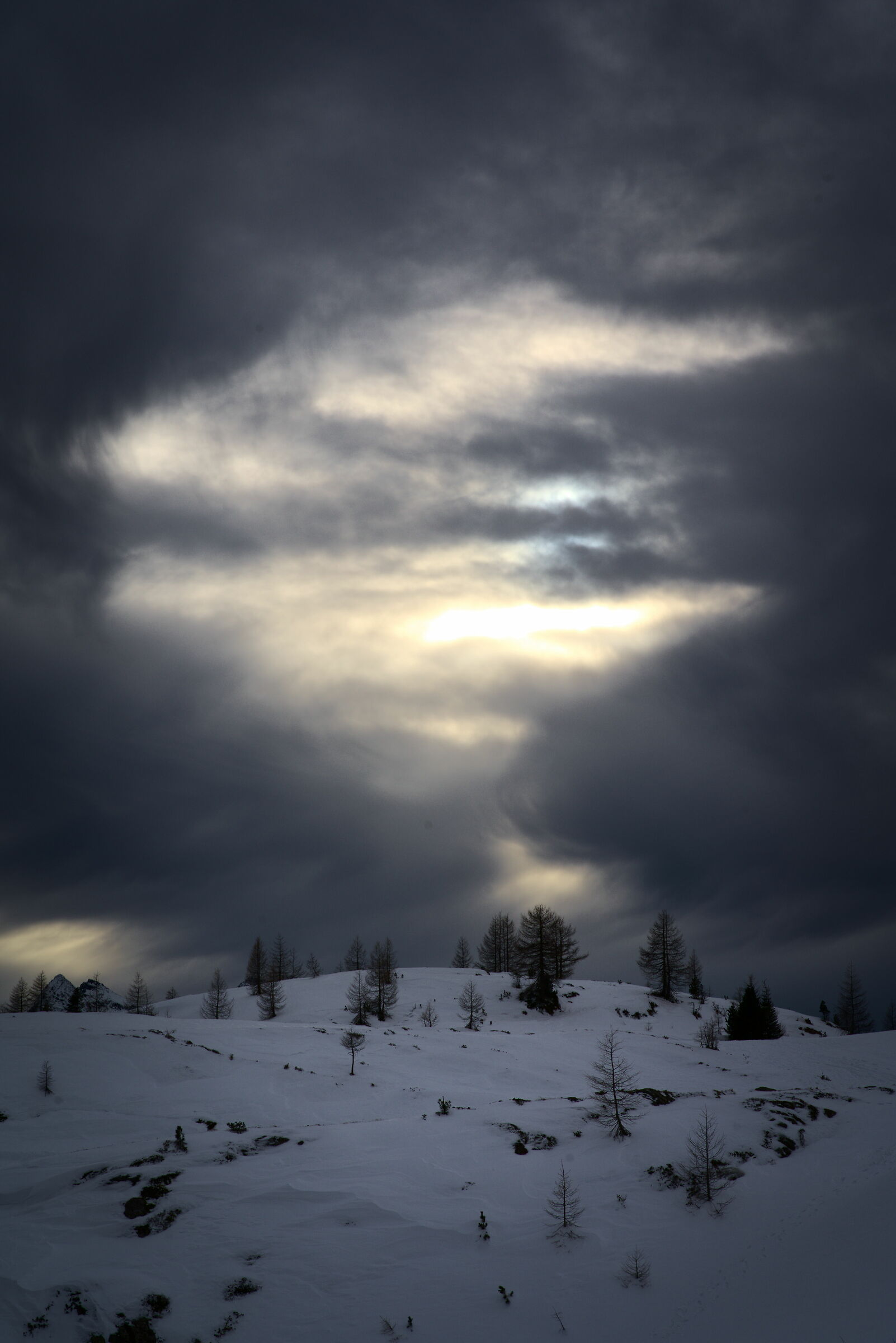 Untitled Photo
