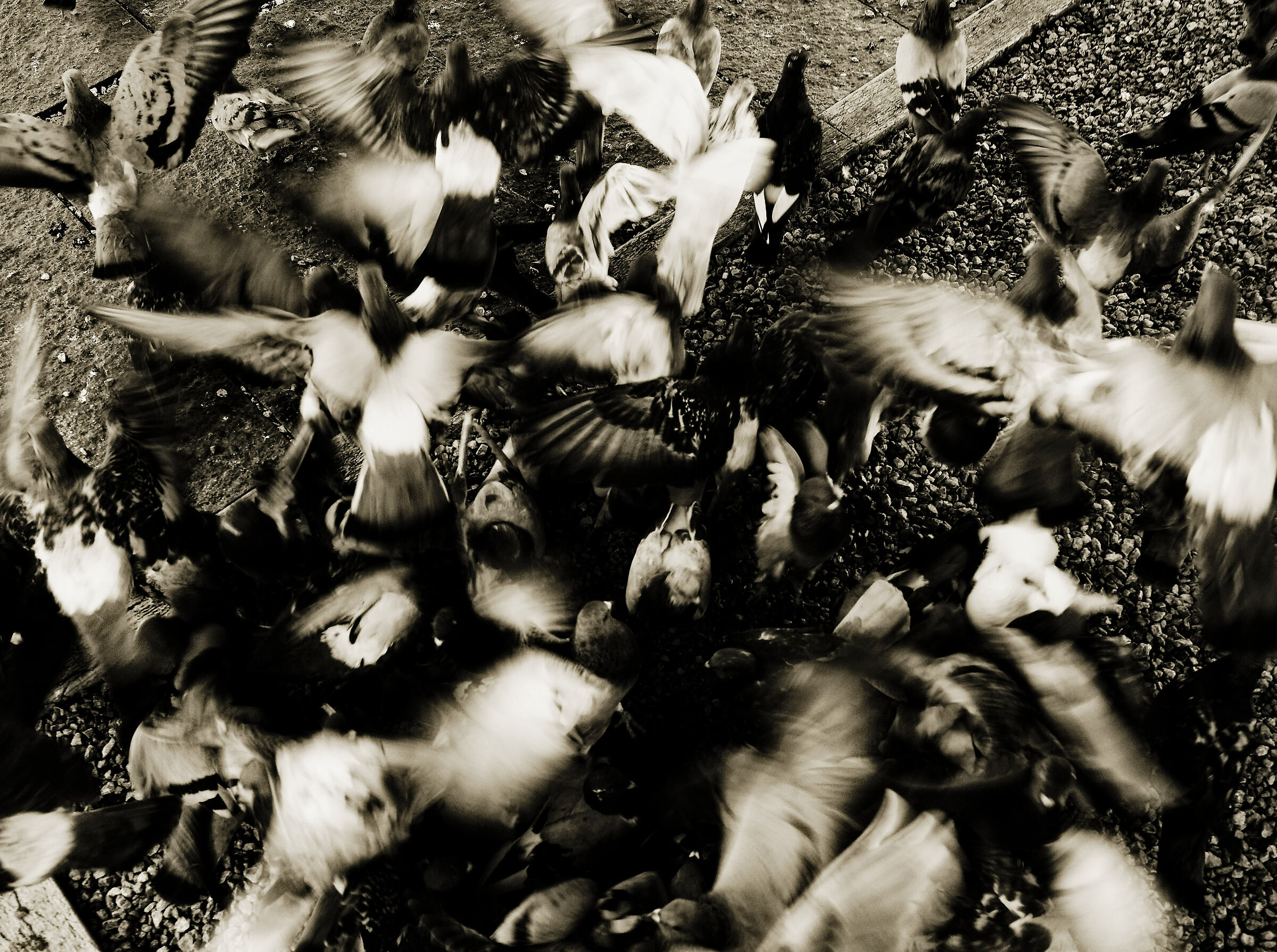 Untitled Photo