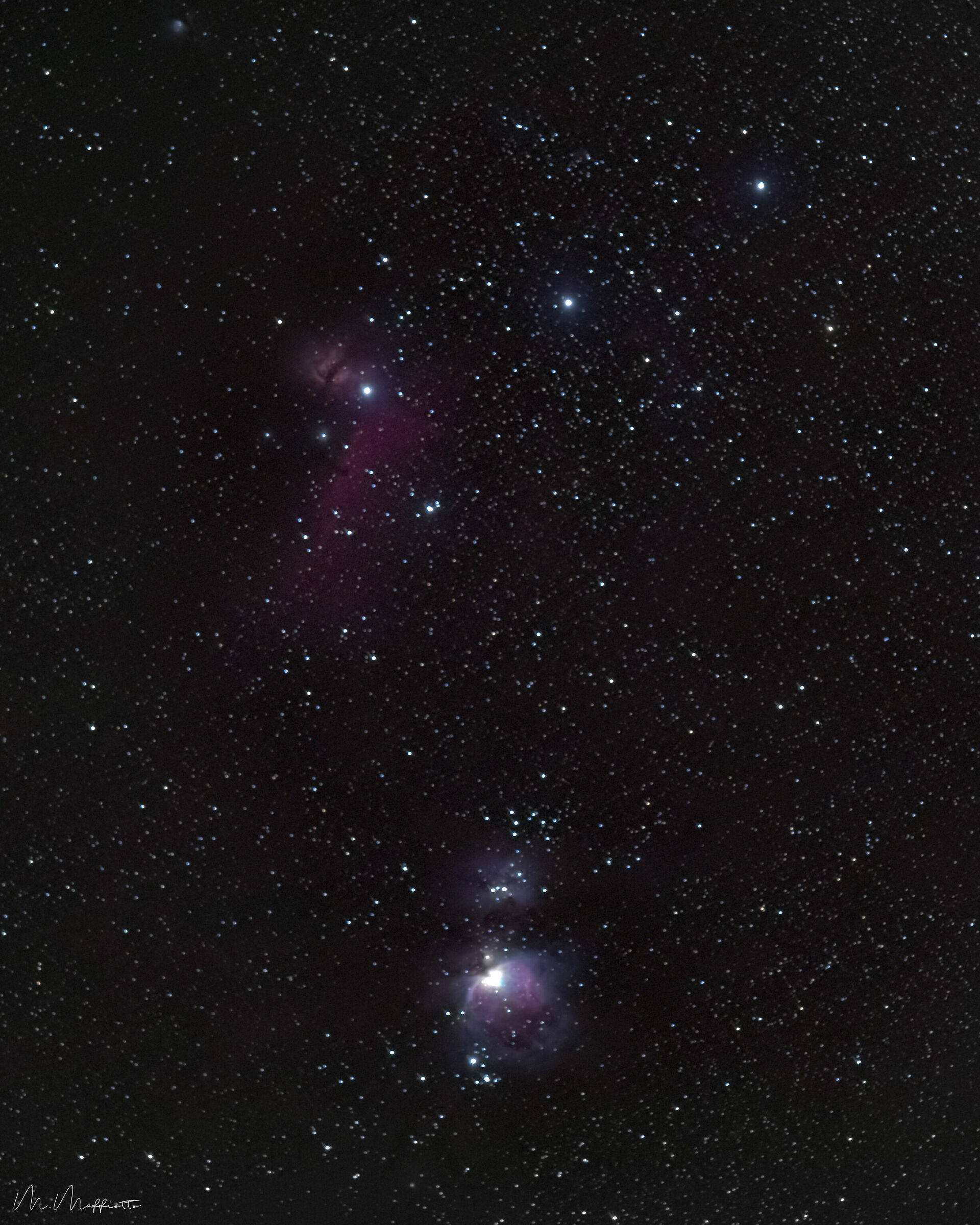 Orion