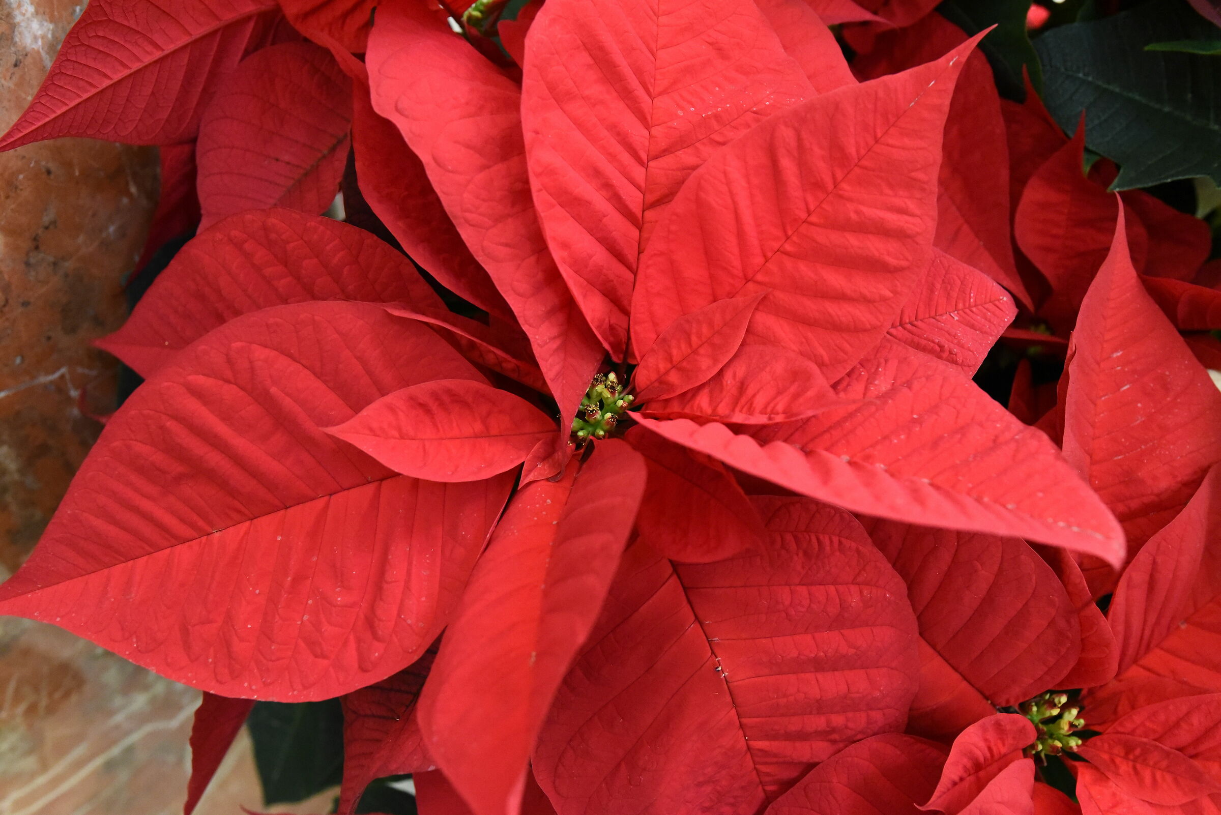 " ISO 8 Mila ", Sigma 28, 1.4 Art- Nikon D 750