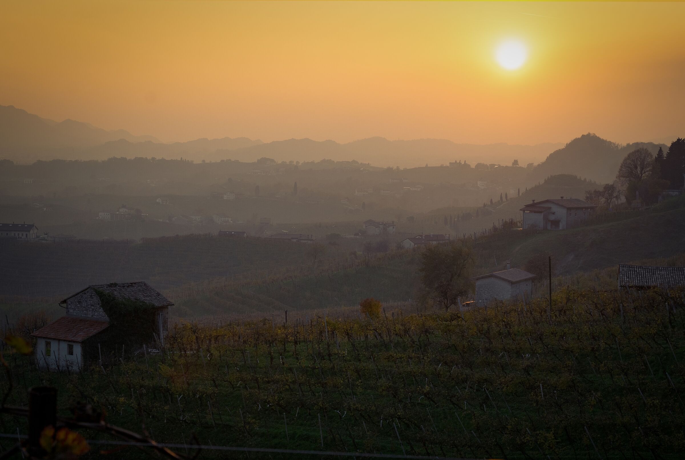 Prosecco Hills in the Fog
