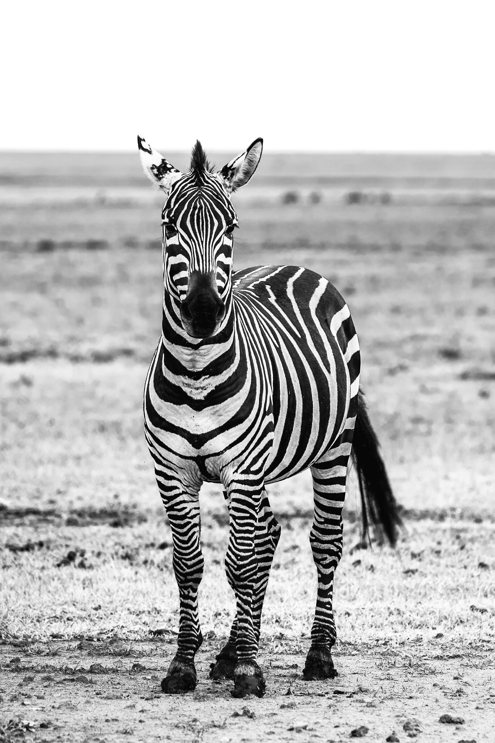 My favorite colors (but only if I think of football)