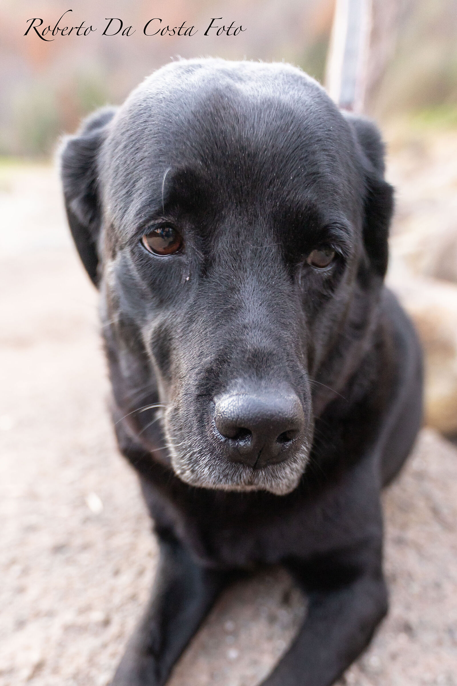 Walking in the canal reserve will mount Lazio