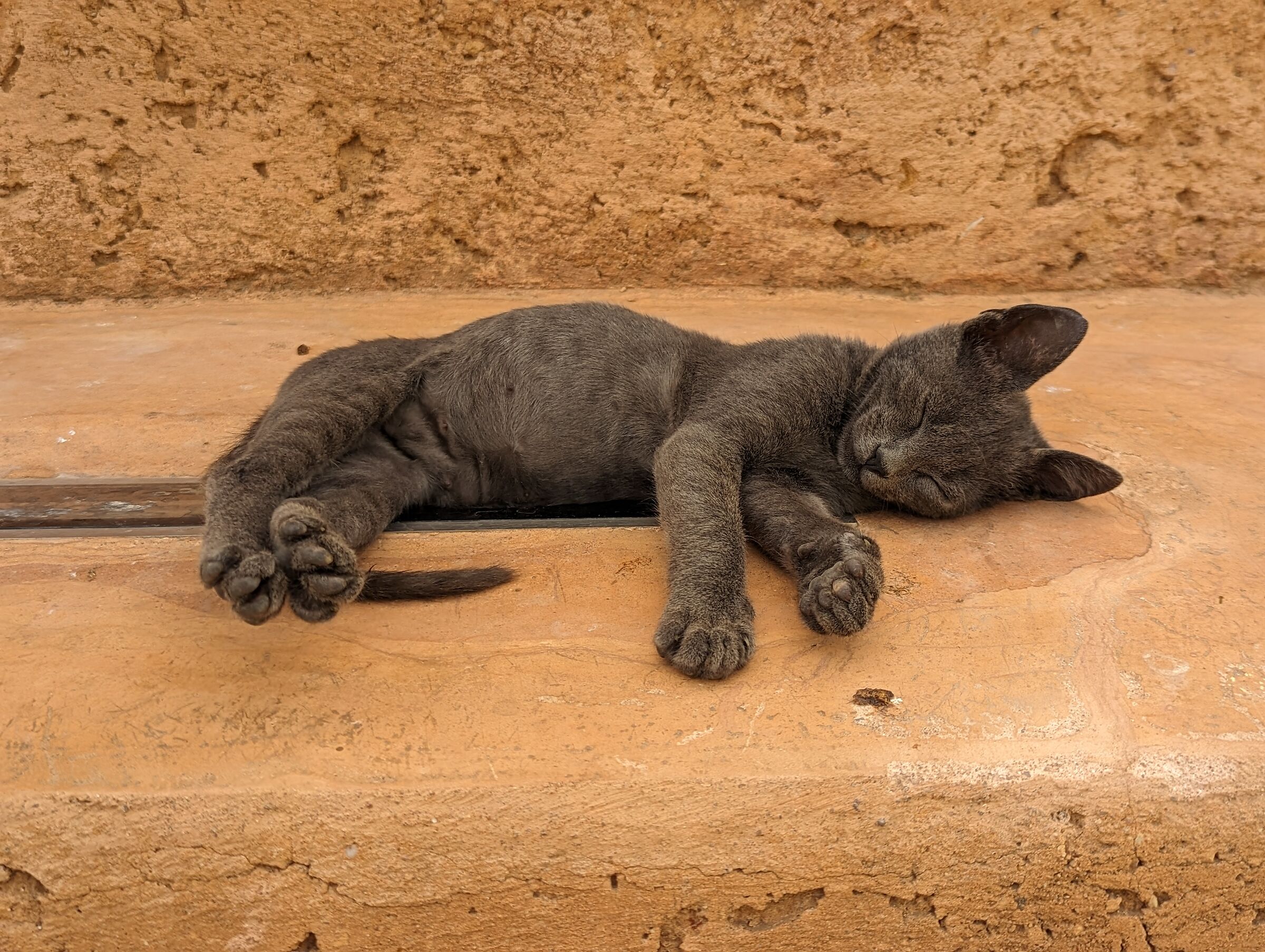 Mao Sleeper