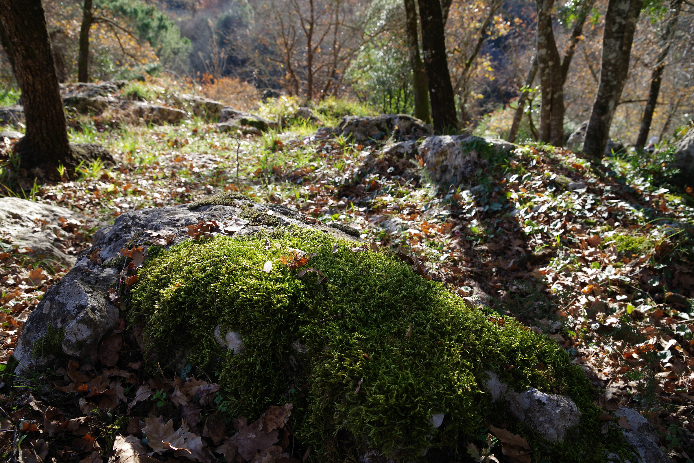 Parco grotte di Pastena (Frosinone)