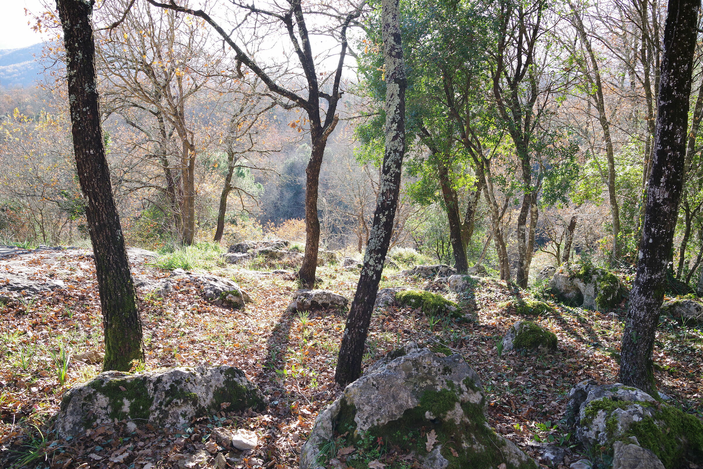 Parco grotte di Pastena (Frosinone)