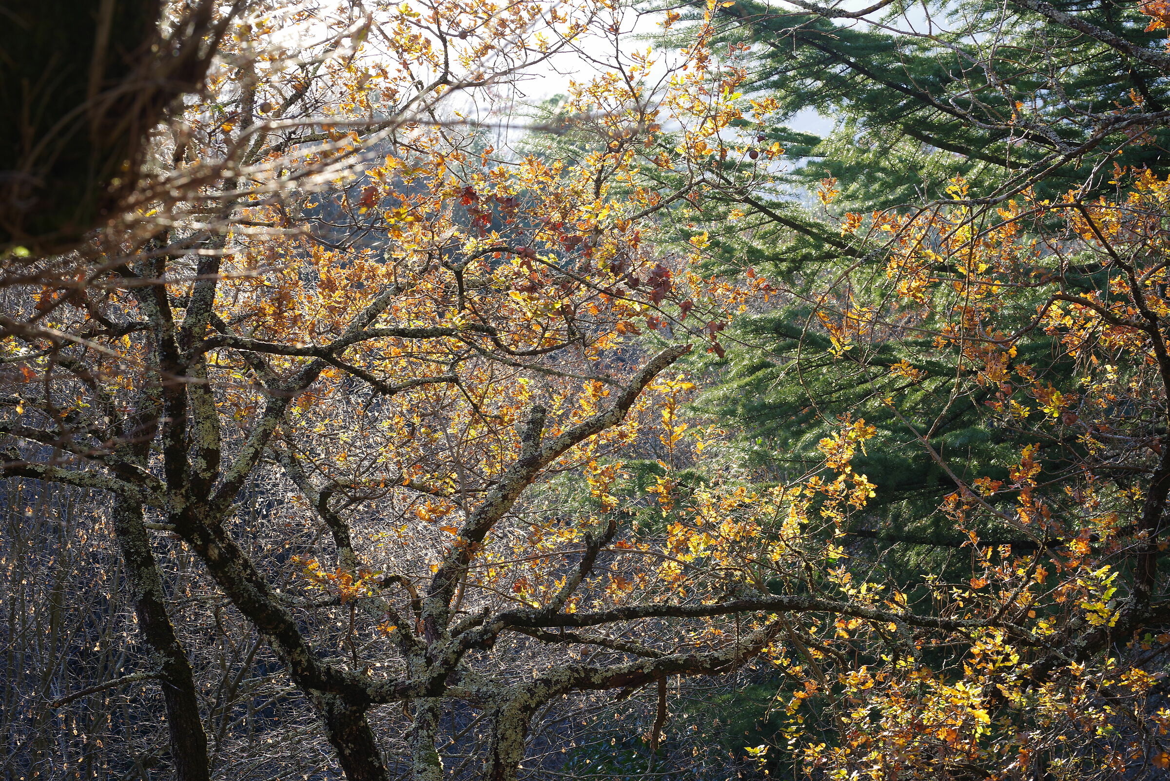 Giardino grotte di Pastena (Frosinone)